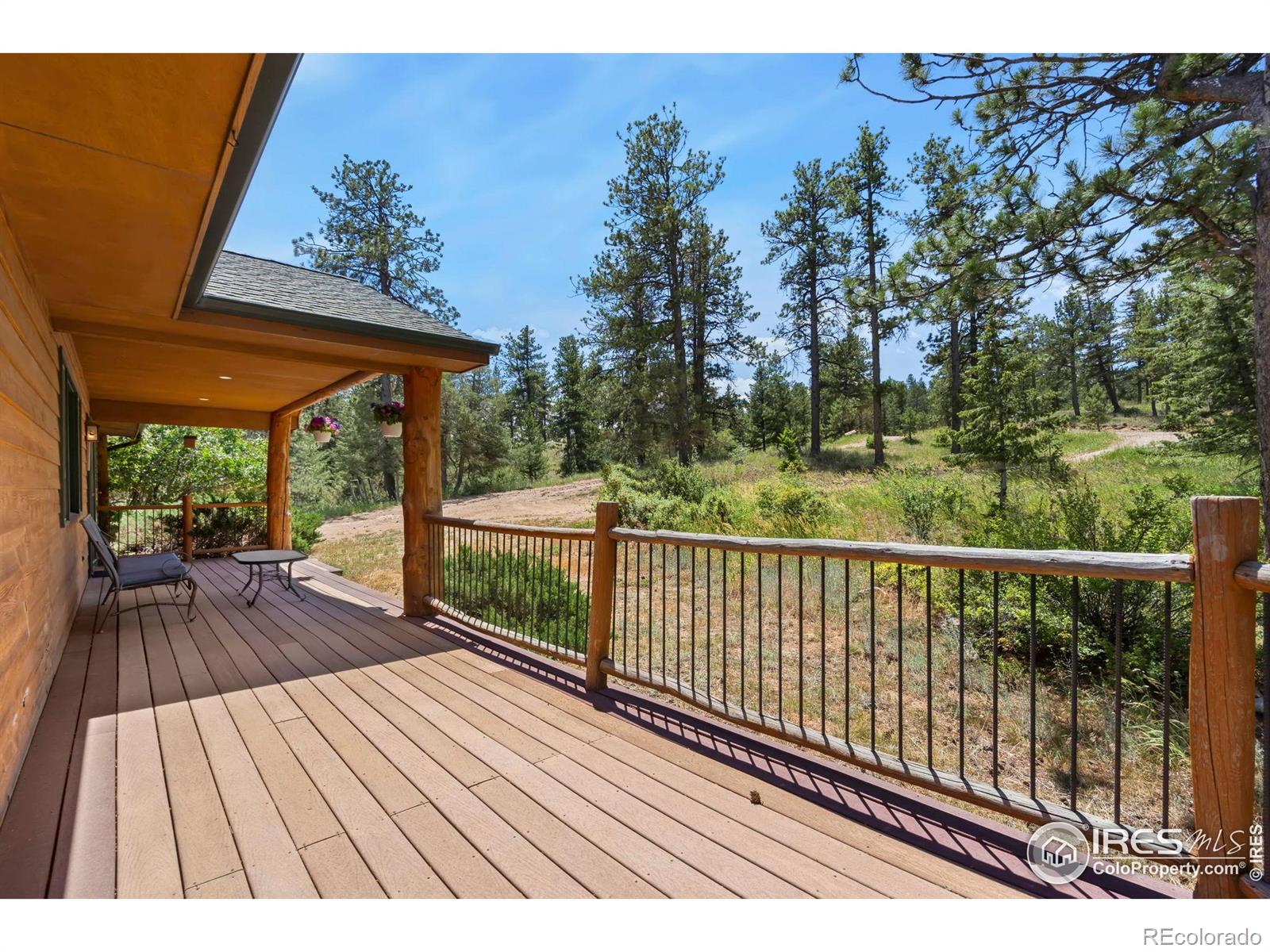 MLS Image #2 for 556  bald mountain drive,livermore, Colorado
