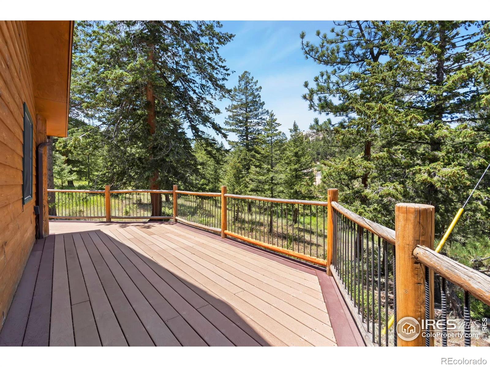 MLS Image #3 for 556  bald mountain drive,livermore, Colorado