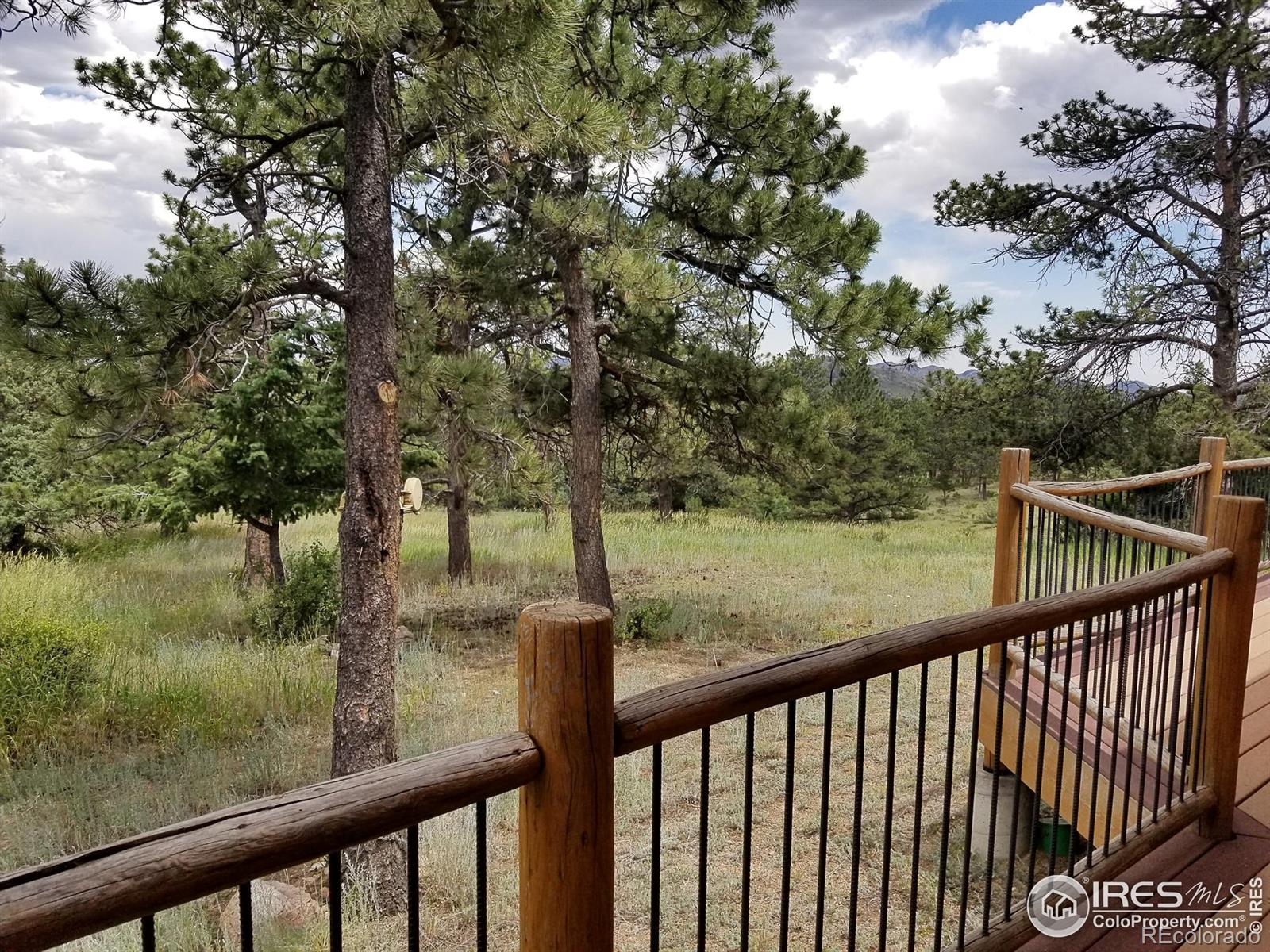 MLS Image #30 for 556  bald mountain drive,livermore, Colorado