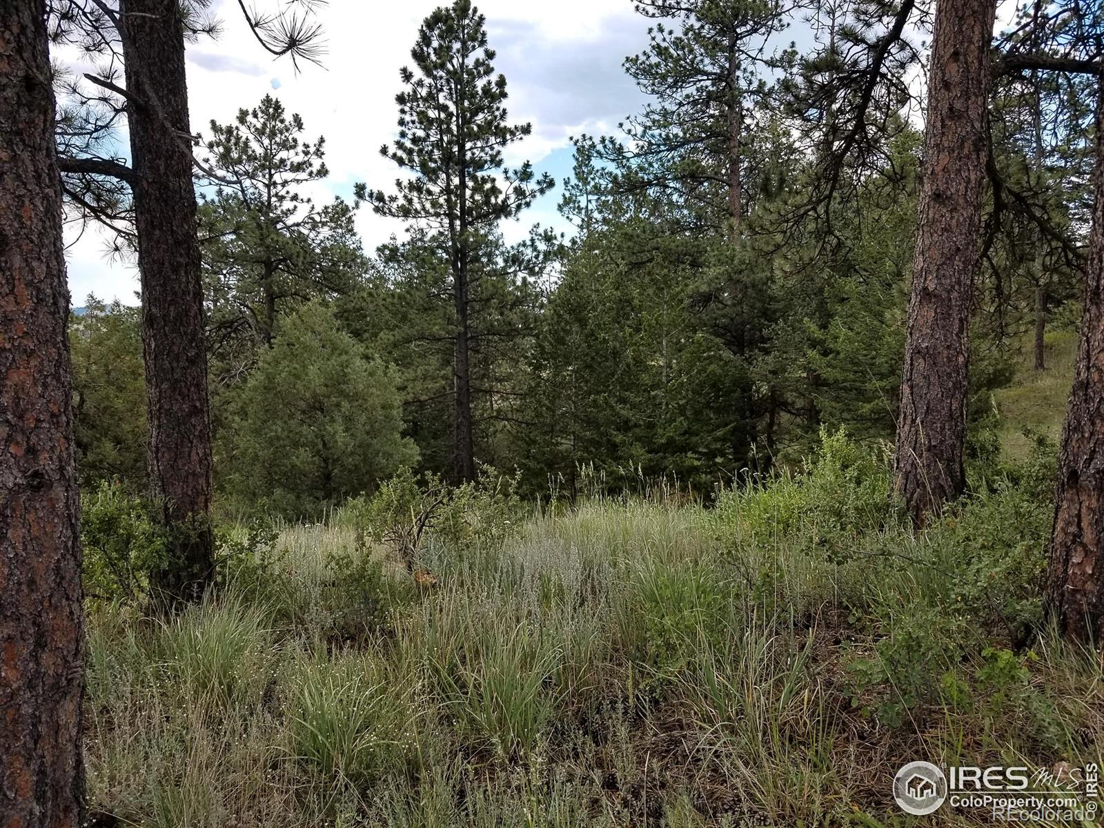MLS Image #34 for 556  bald mountain drive,livermore, Colorado