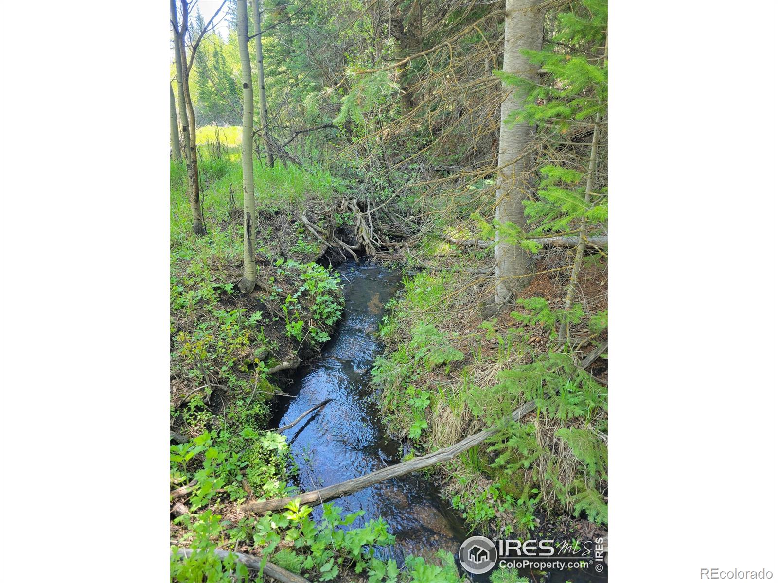 CMA Image for 1001  County Road 86 ,Red Feather Lakes, Colorado