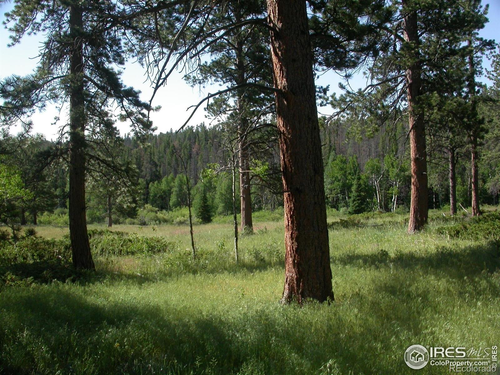 MLS Image #13 for 1001  county road 86 ,red feather lakes, Colorado