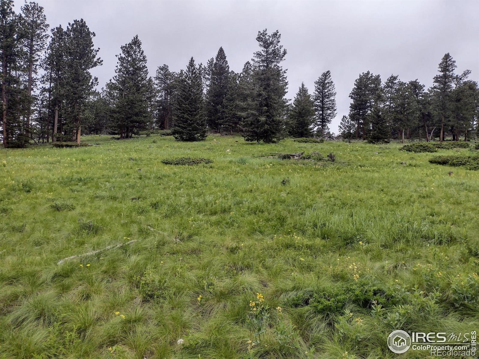 MLS Image #14 for 1001  county road 86 ,red feather lakes, Colorado