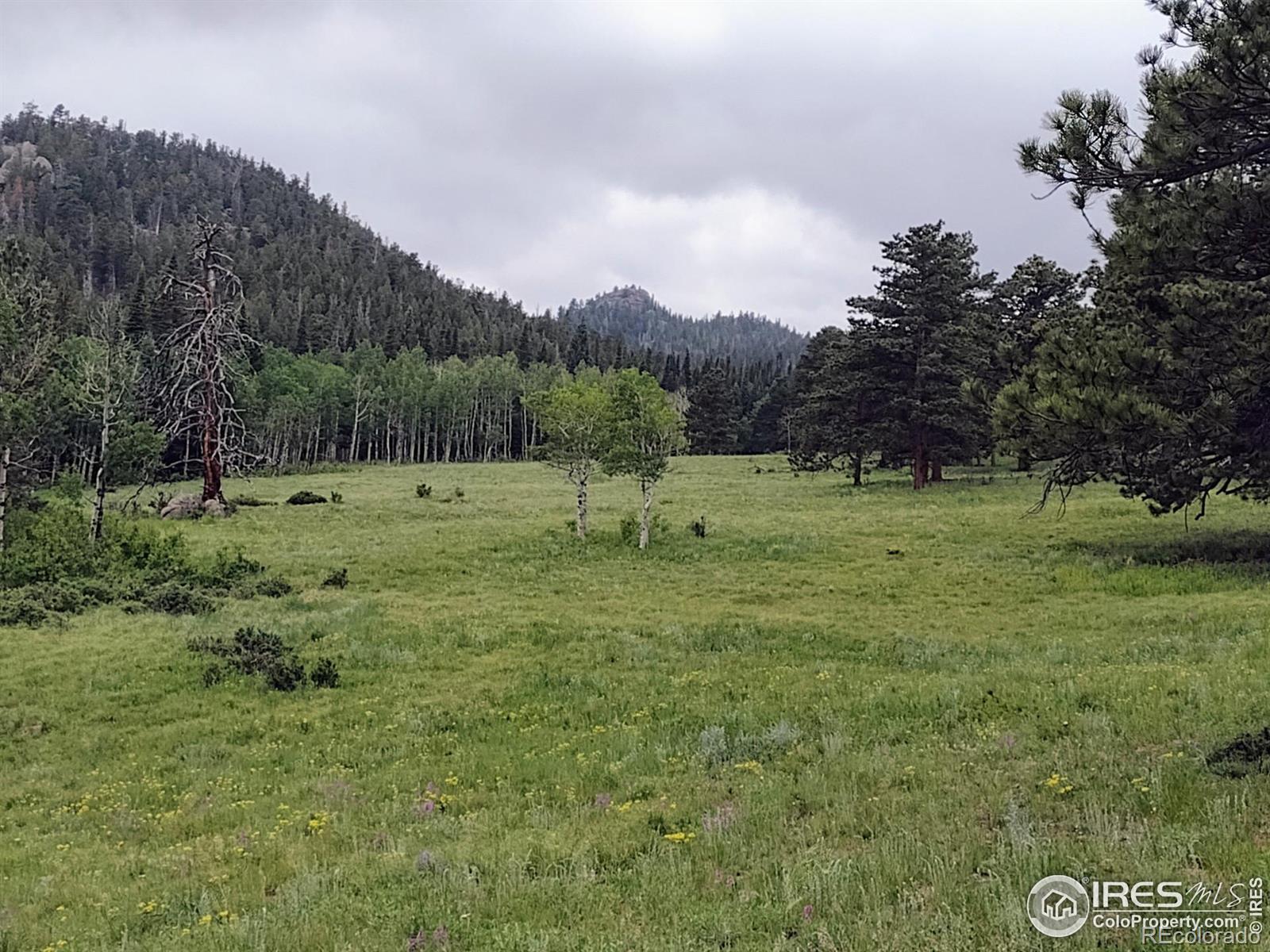 MLS Image #15 for 1001  county road 86 ,red feather lakes, Colorado