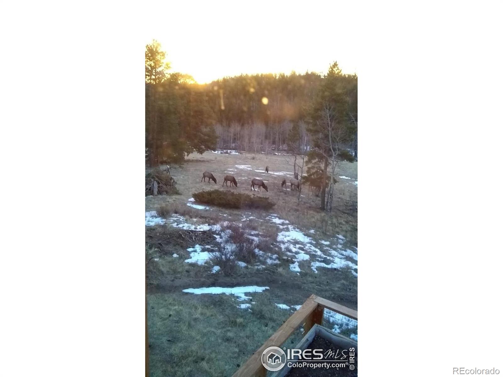 MLS Image #2 for 1001  county road 86 ,red feather lakes, Colorado