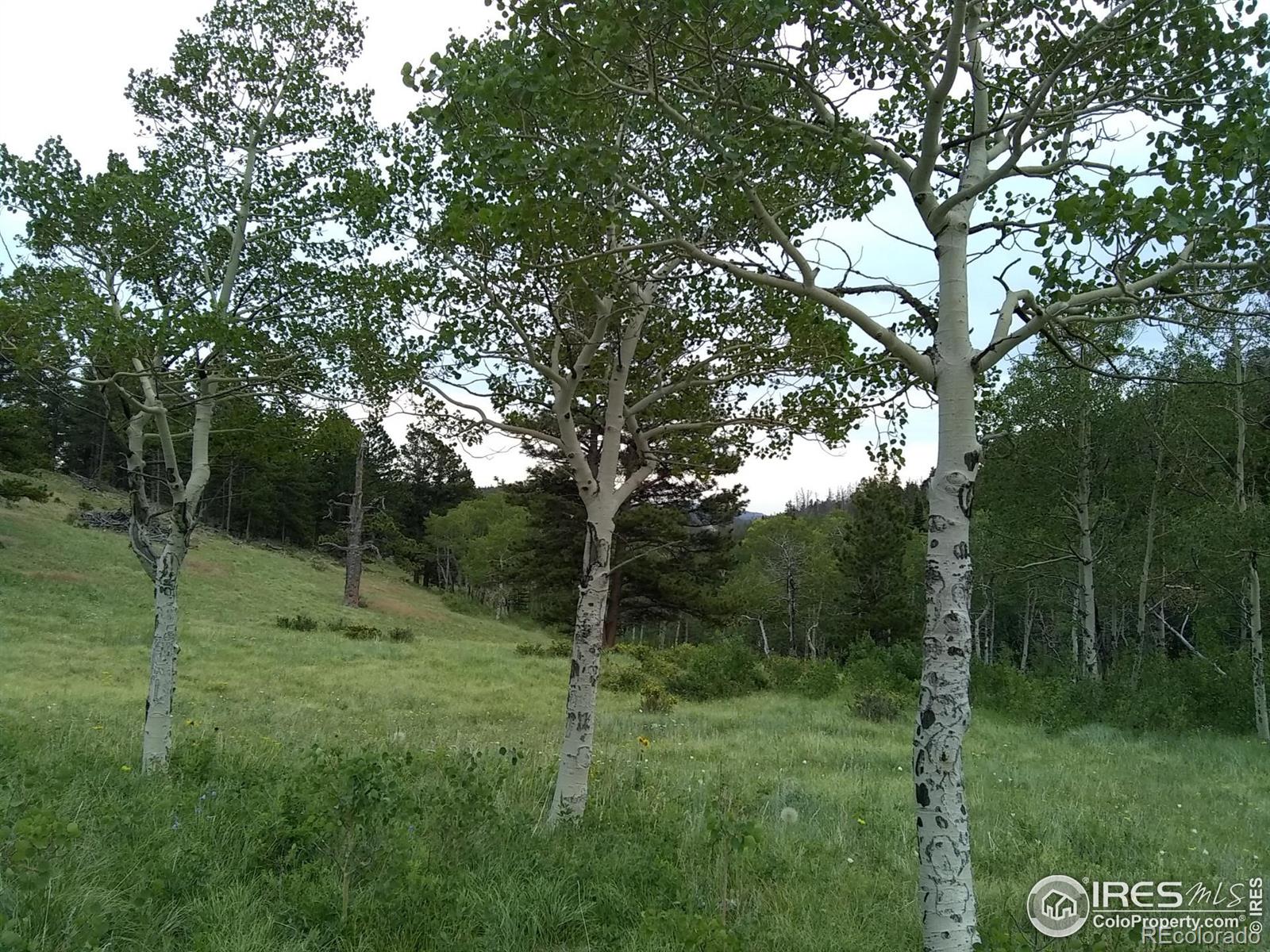 MLS Image #3 for 1001  county road 86 ,red feather lakes, Colorado