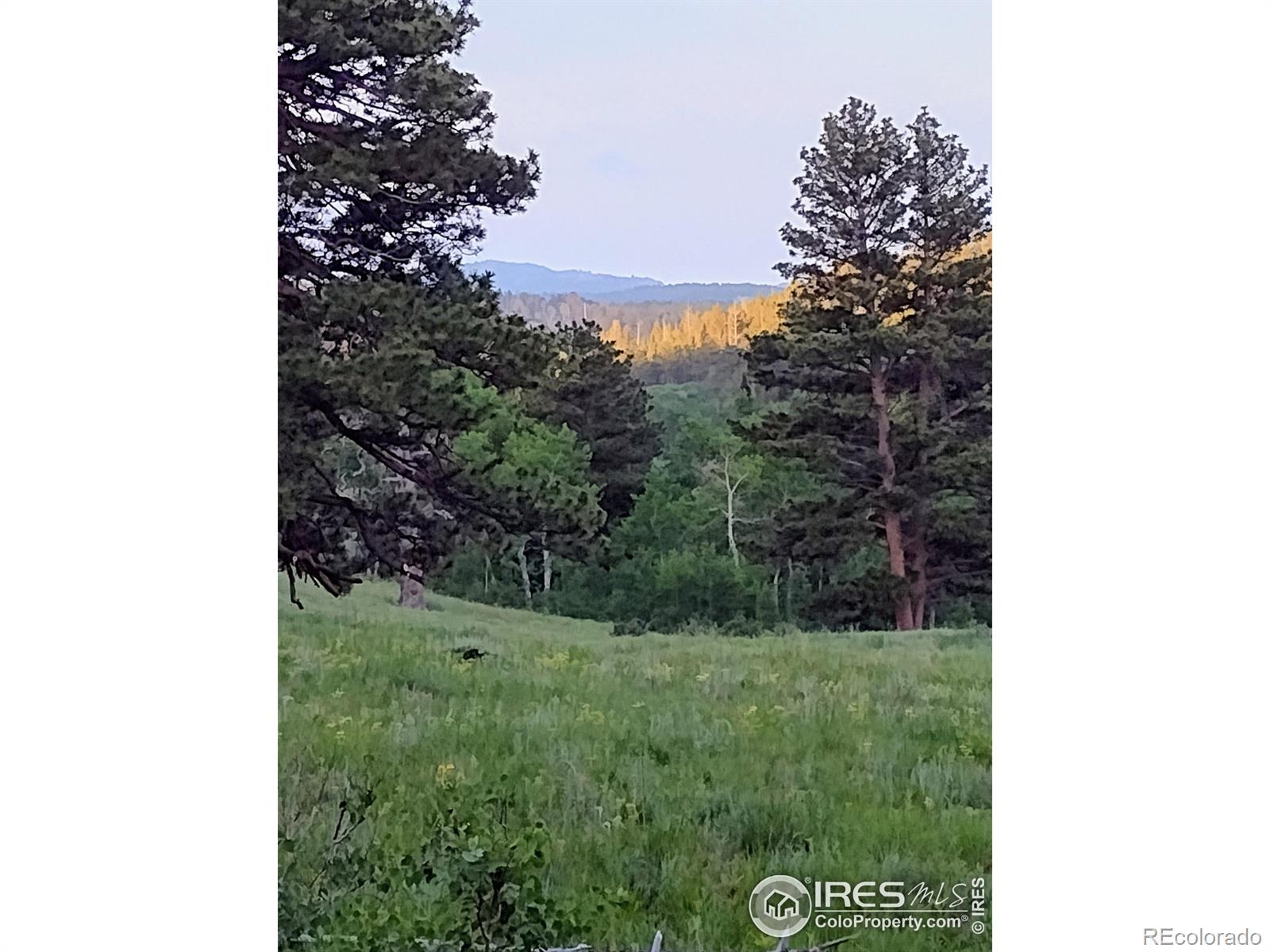 MLS Image #4 for 1001  county road 86 ,red feather lakes, Colorado