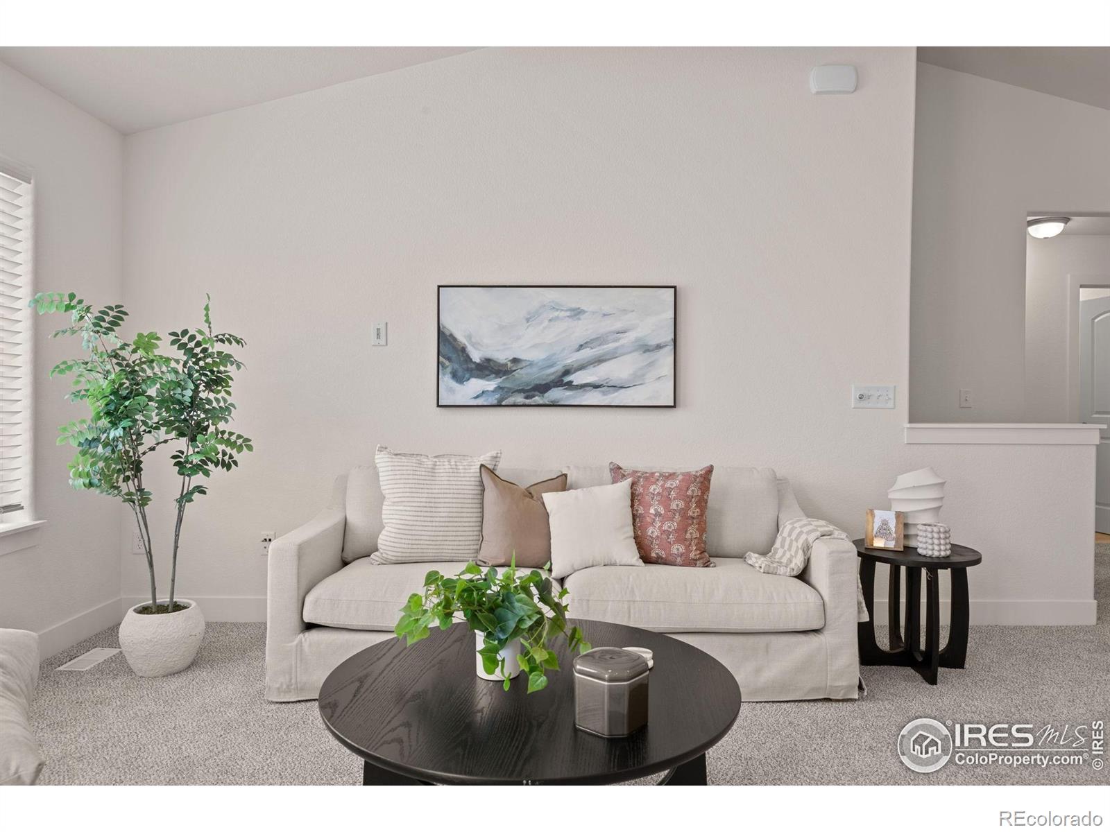 MLS Image #12 for 619  rosedale street,severance, Colorado