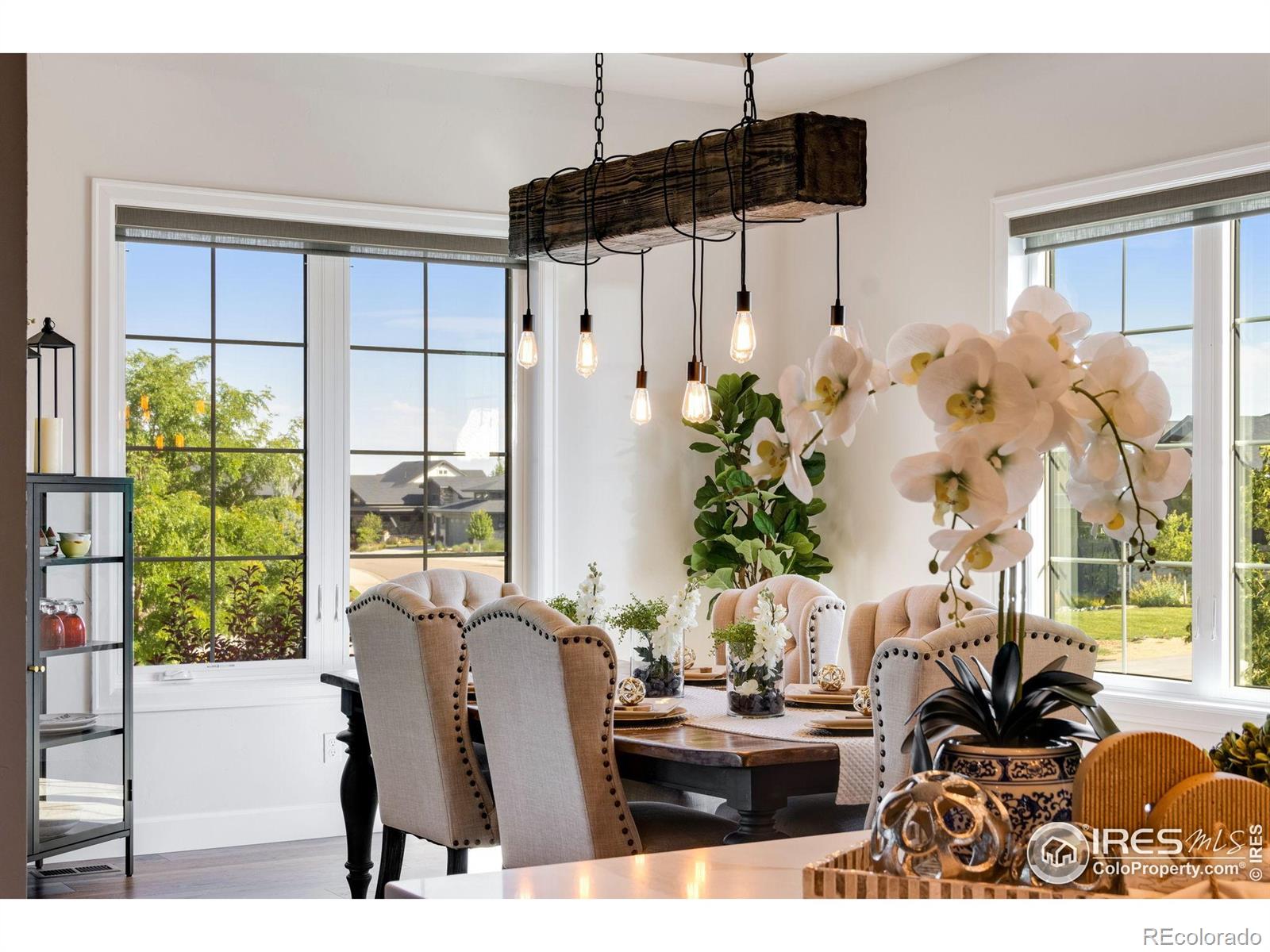 MLS Image #15 for 4198  prestwich court,timnath, Colorado