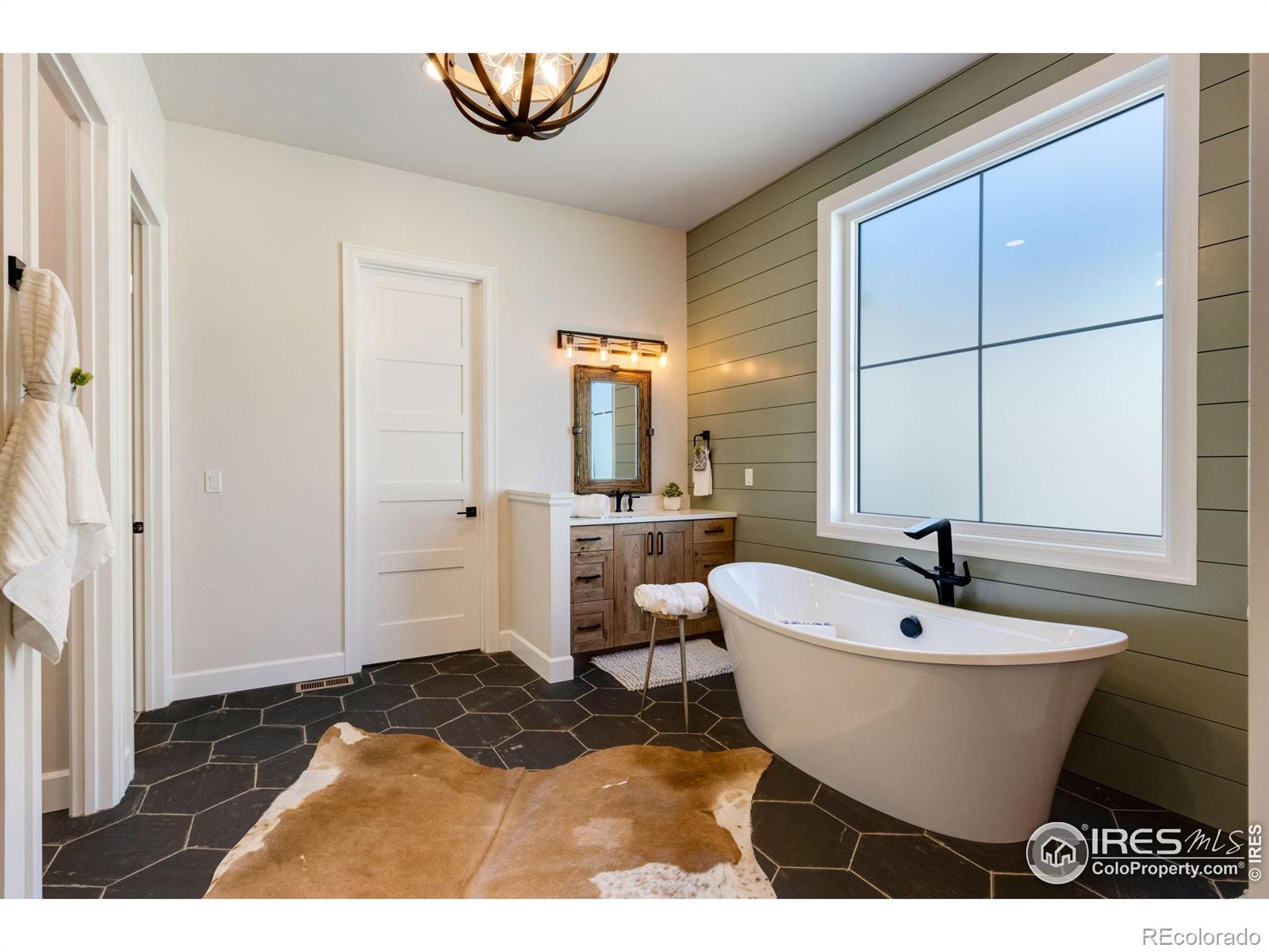 MLS Image #18 for 4198  prestwich court,timnath, Colorado