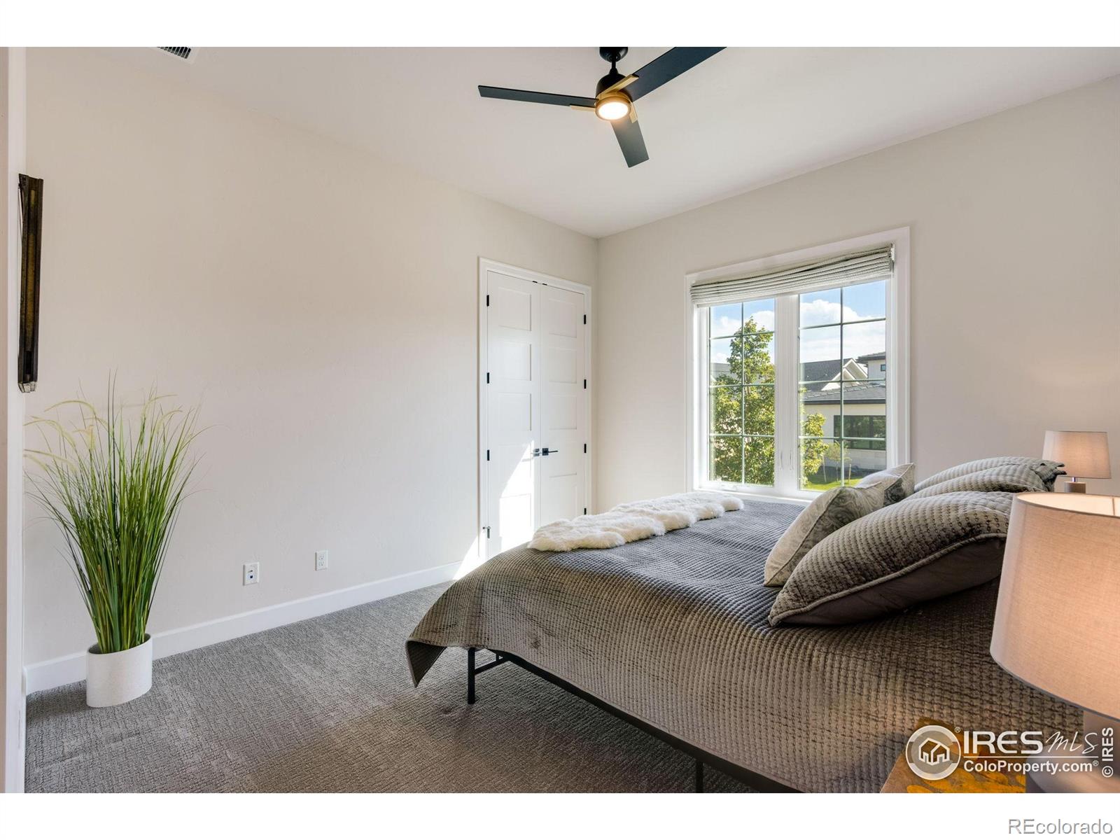 MLS Image #21 for 4198  prestwich court,timnath, Colorado