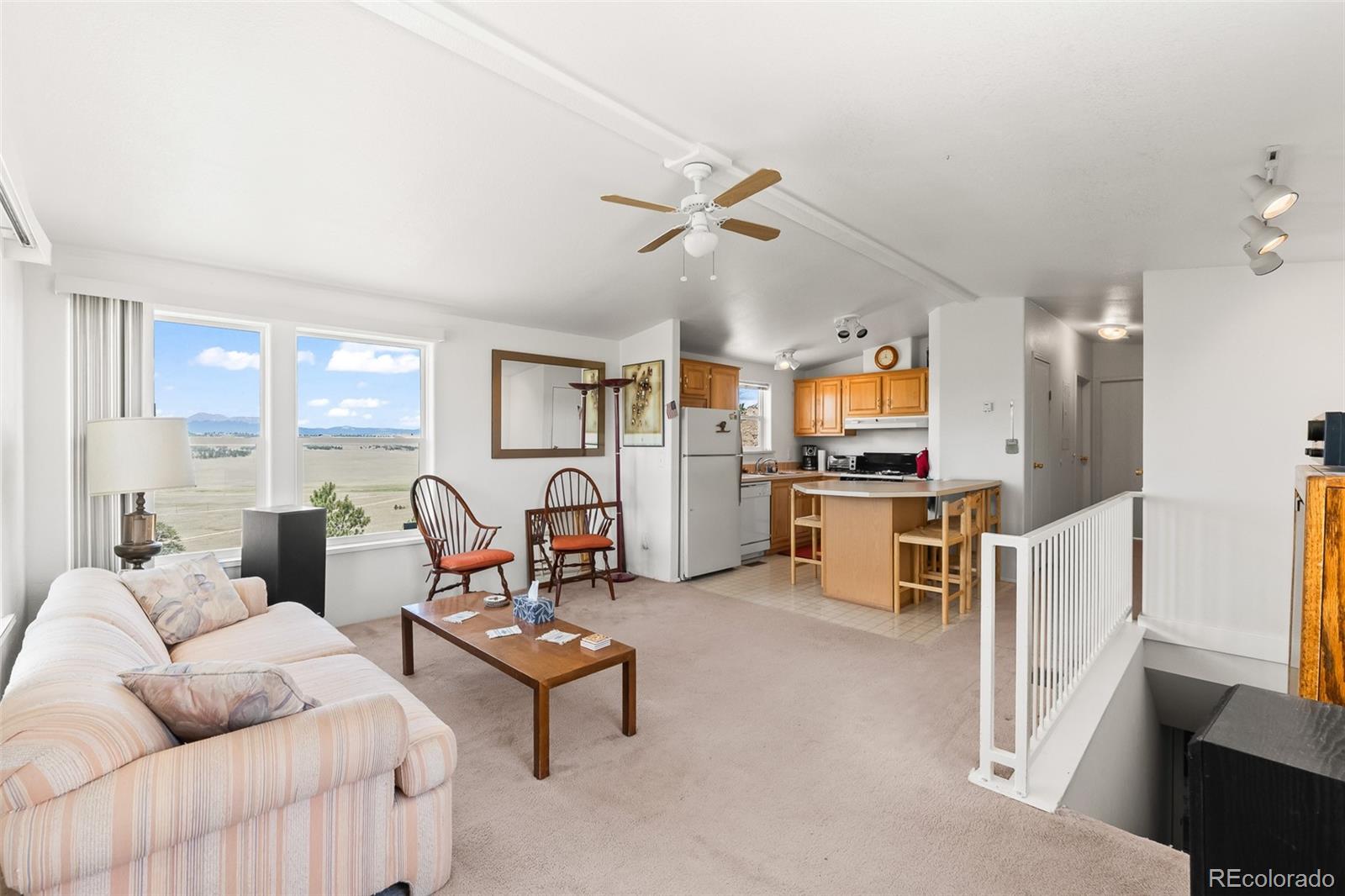 MLS Image #14 for 165  coyotero trail,hartsel, Colorado