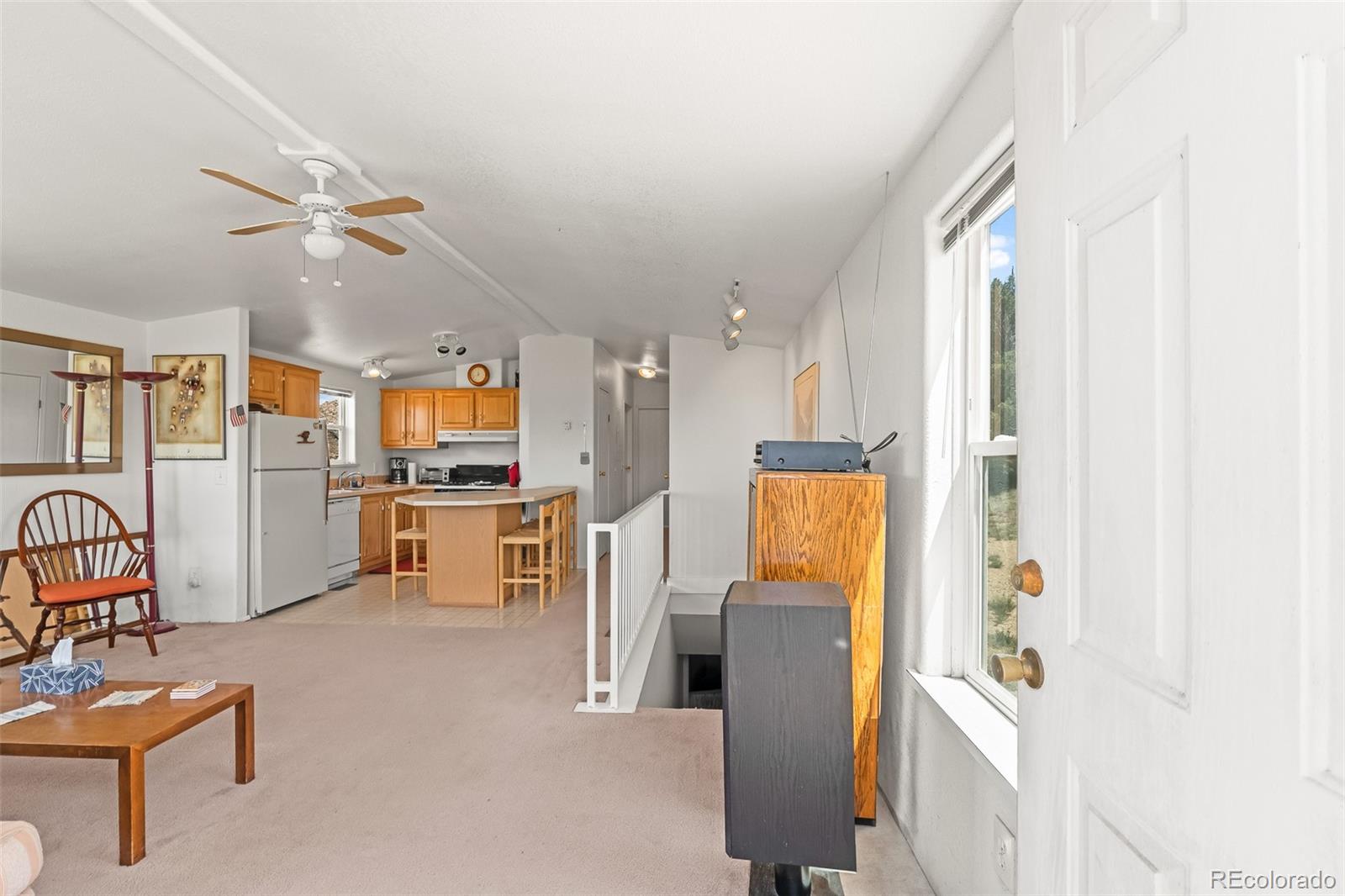 MLS Image #15 for 165  coyotero trail,hartsel, Colorado