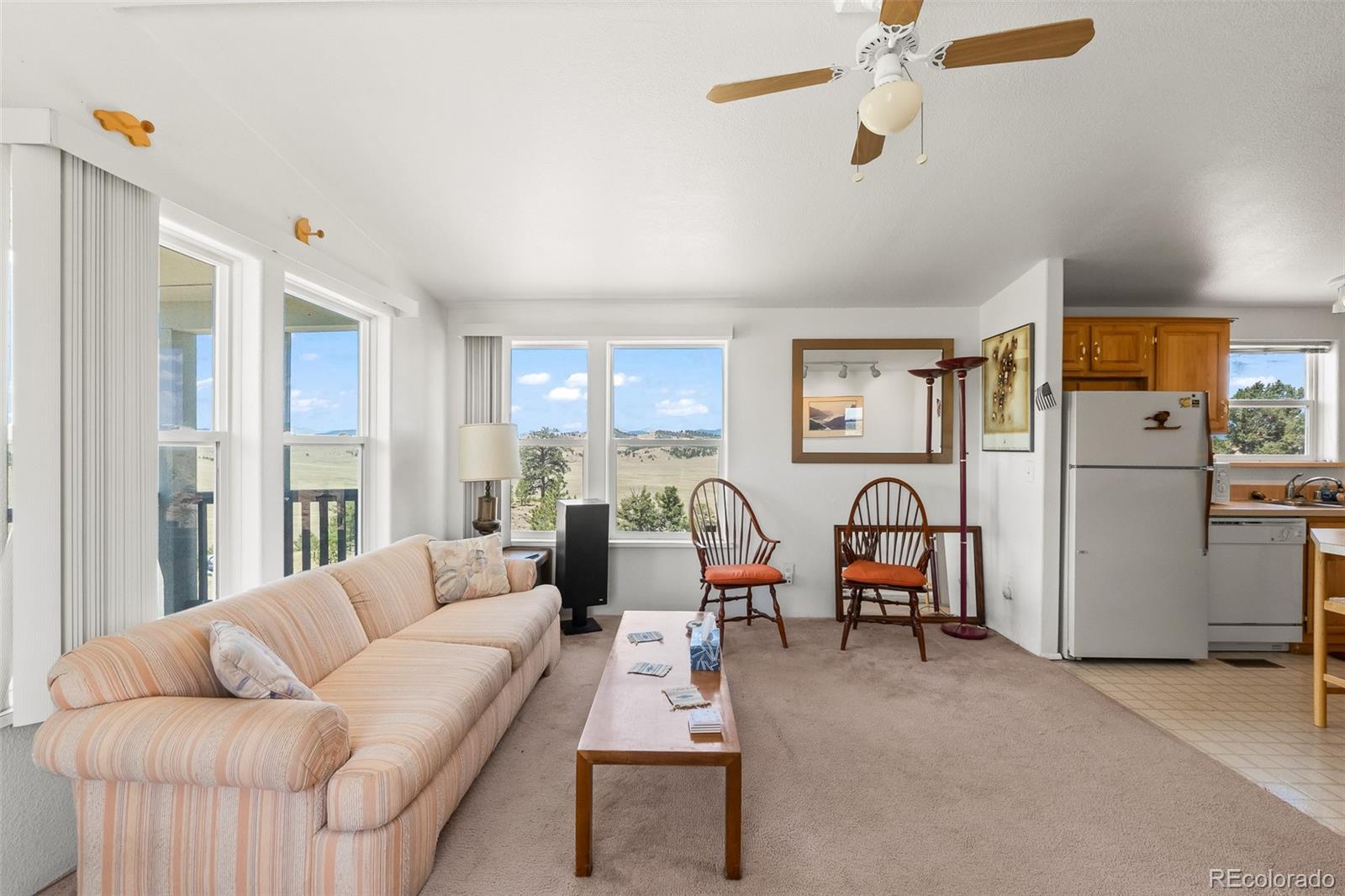 MLS Image #16 for 165  coyotero trail,hartsel, Colorado