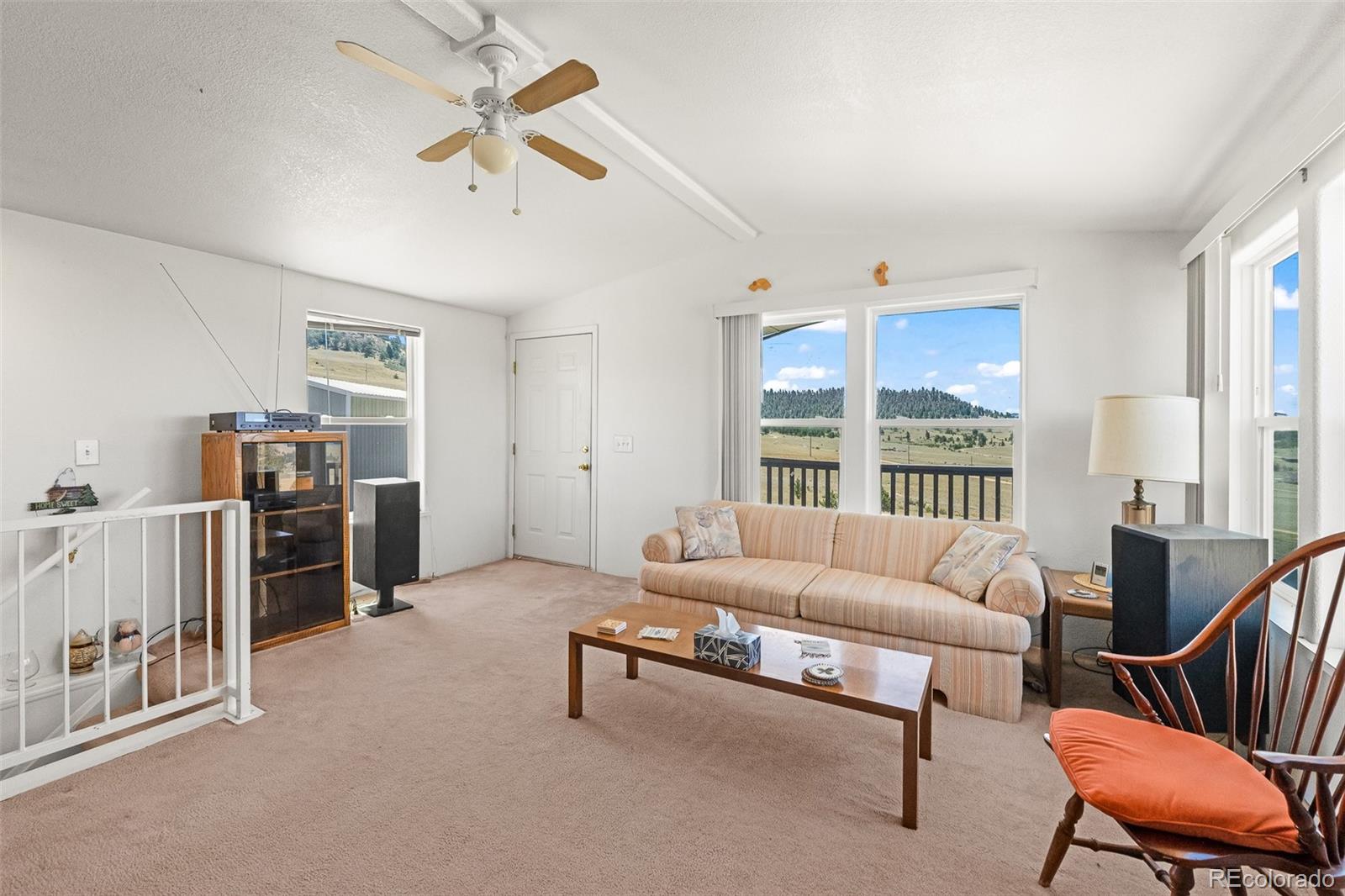 MLS Image #19 for 165  coyotero trail,hartsel, Colorado