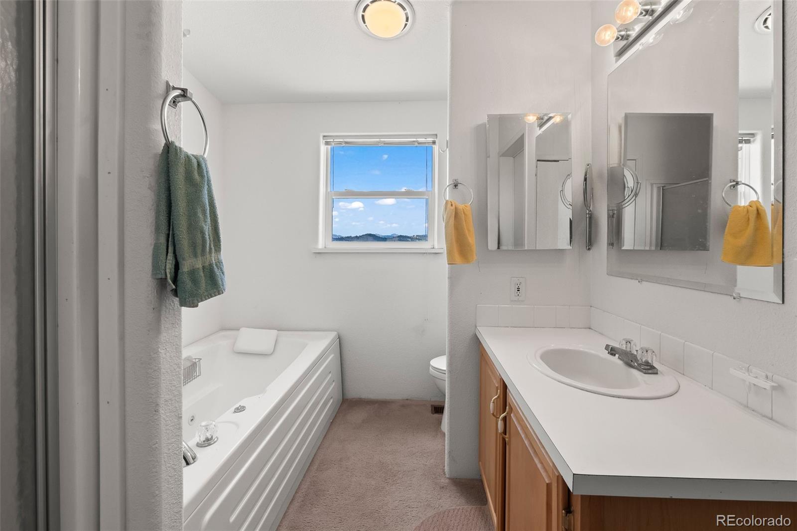 MLS Image #27 for 165  coyotero trail,hartsel, Colorado