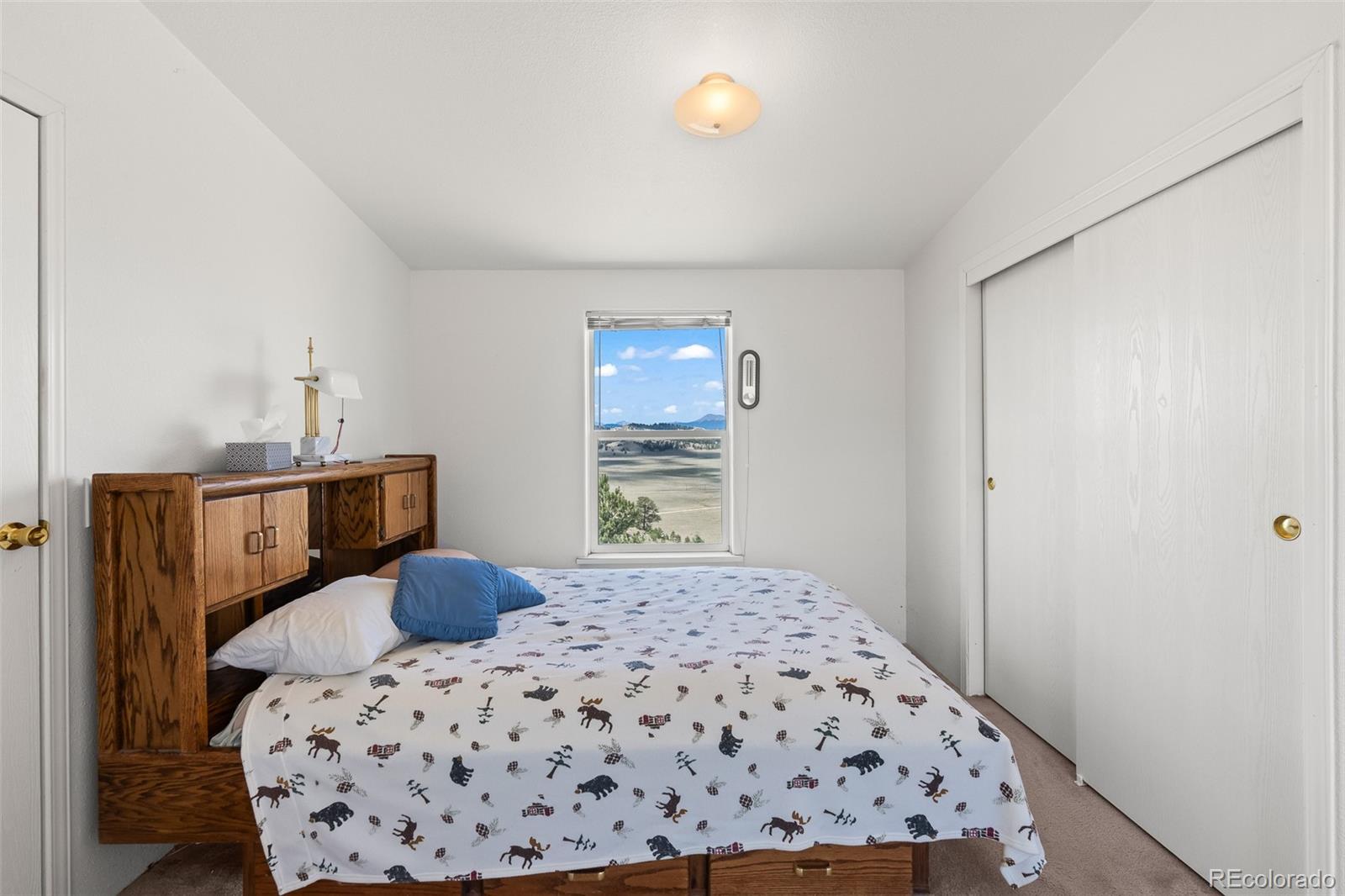 MLS Image #29 for 165  coyotero trail,hartsel, Colorado