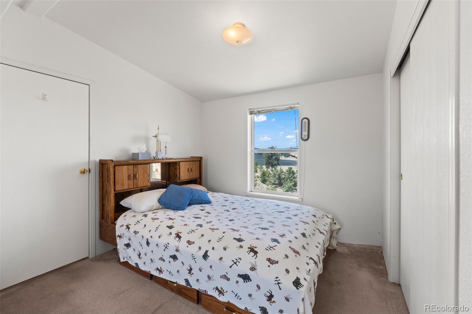 MLS Image #30 for 165  coyotero trail,hartsel, Colorado