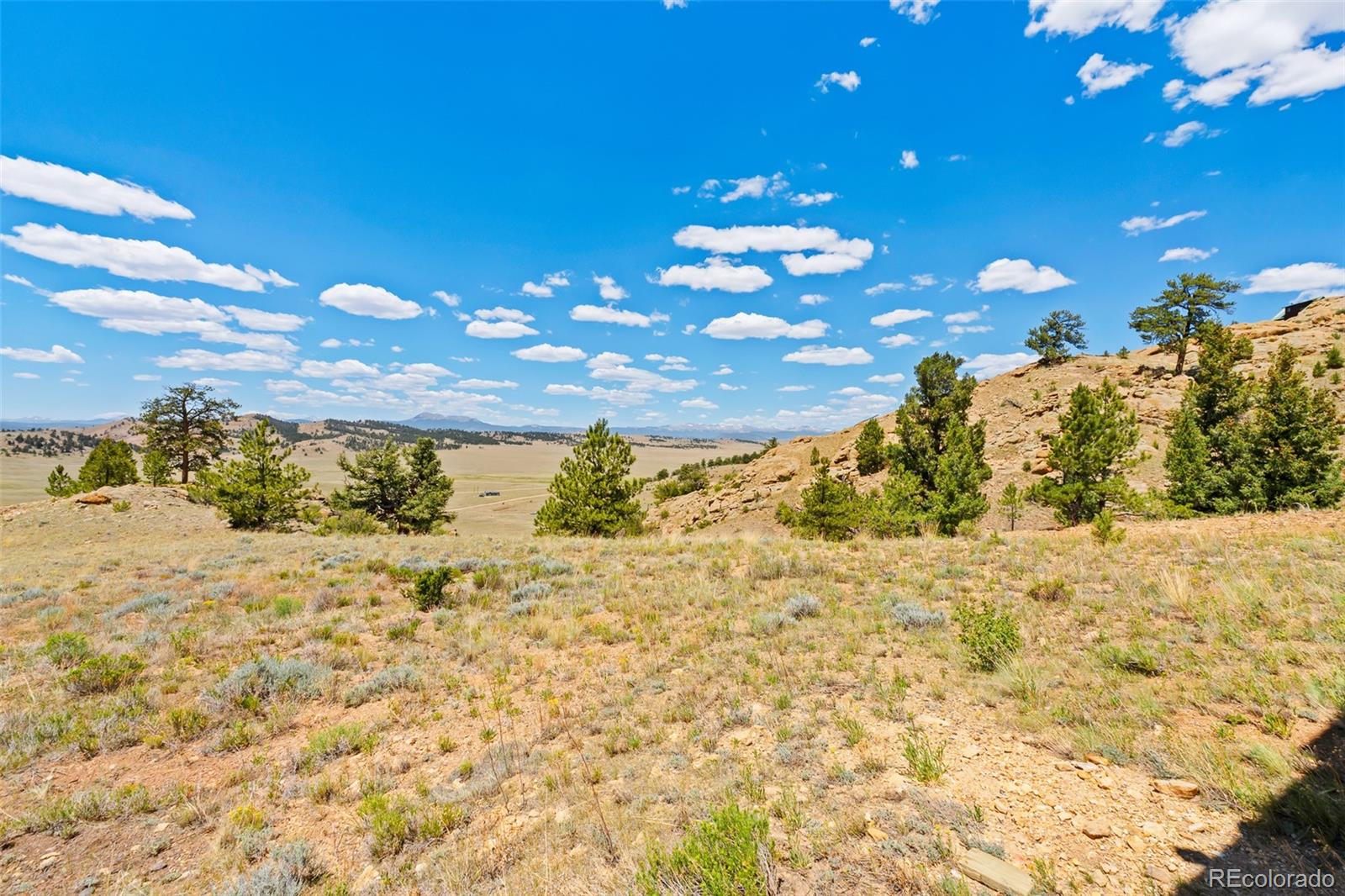MLS Image #6 for 165  coyotero trail,hartsel, Colorado