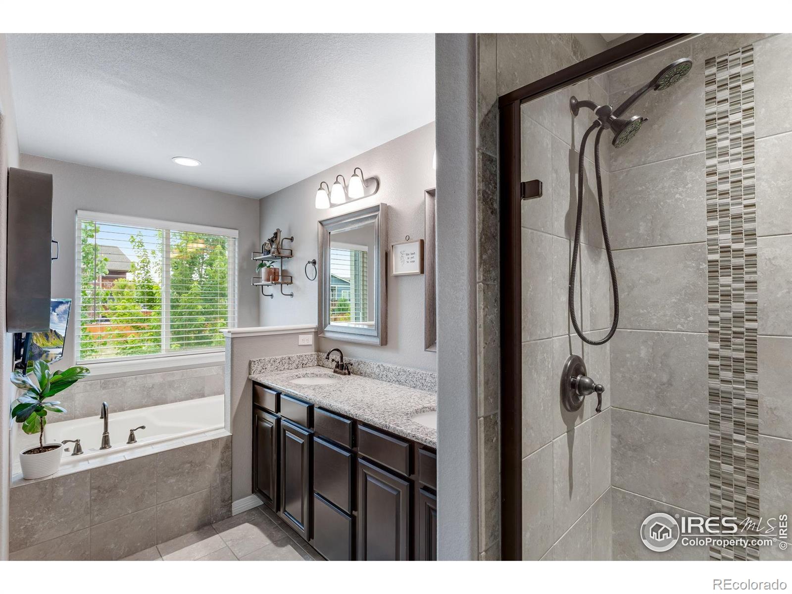 MLS Image #20 for 1272  baker pass street,severance, Colorado