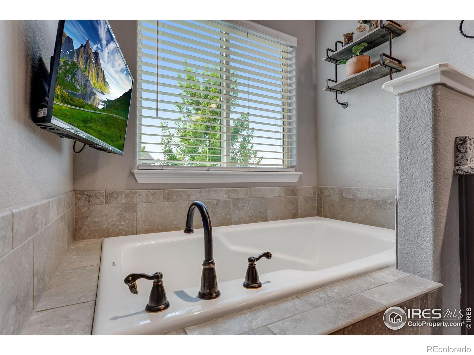 MLS Image #21 for 1272  baker pass street,severance, Colorado