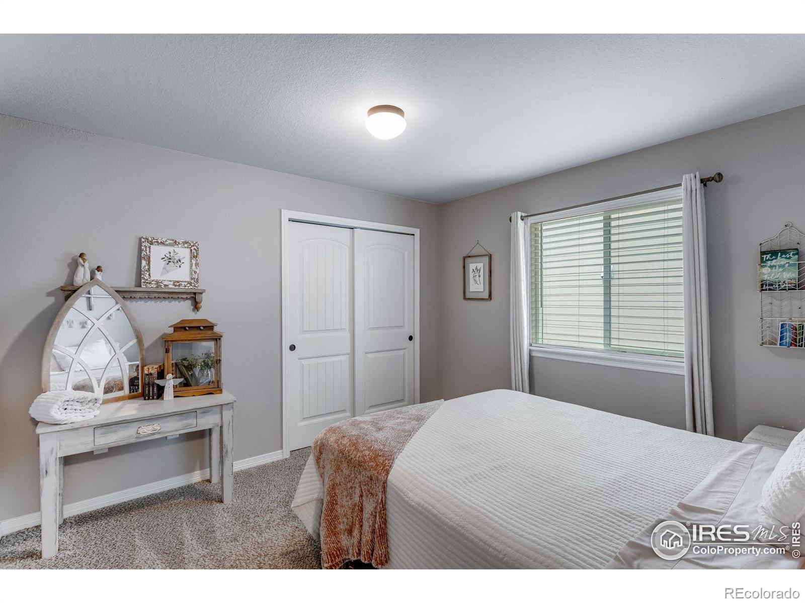 MLS Image #22 for 1272  baker pass street,severance, Colorado