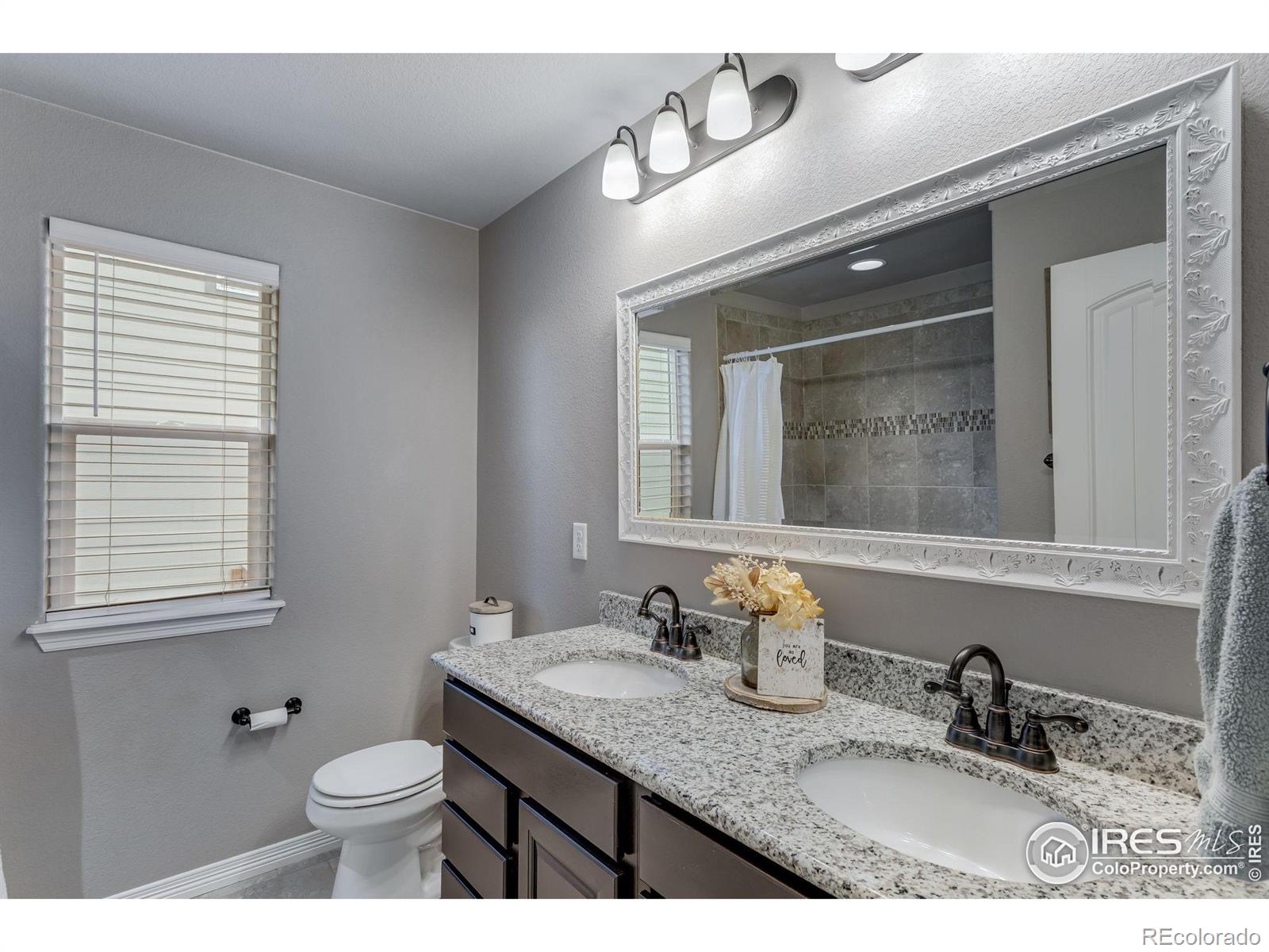 MLS Image #26 for 1272  baker pass street,severance, Colorado