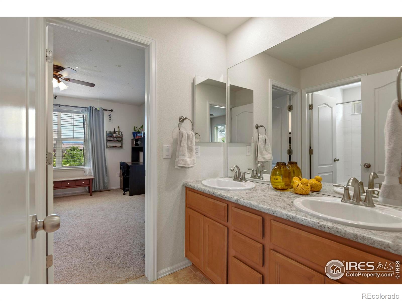 MLS Image #25 for 833  carbonate lane,erie, Colorado