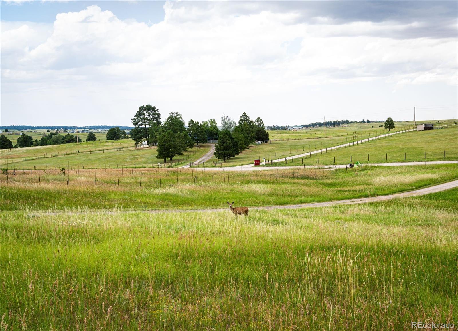 MLS Image #40 for 7573  pine crest drive,kiowa, Colorado
