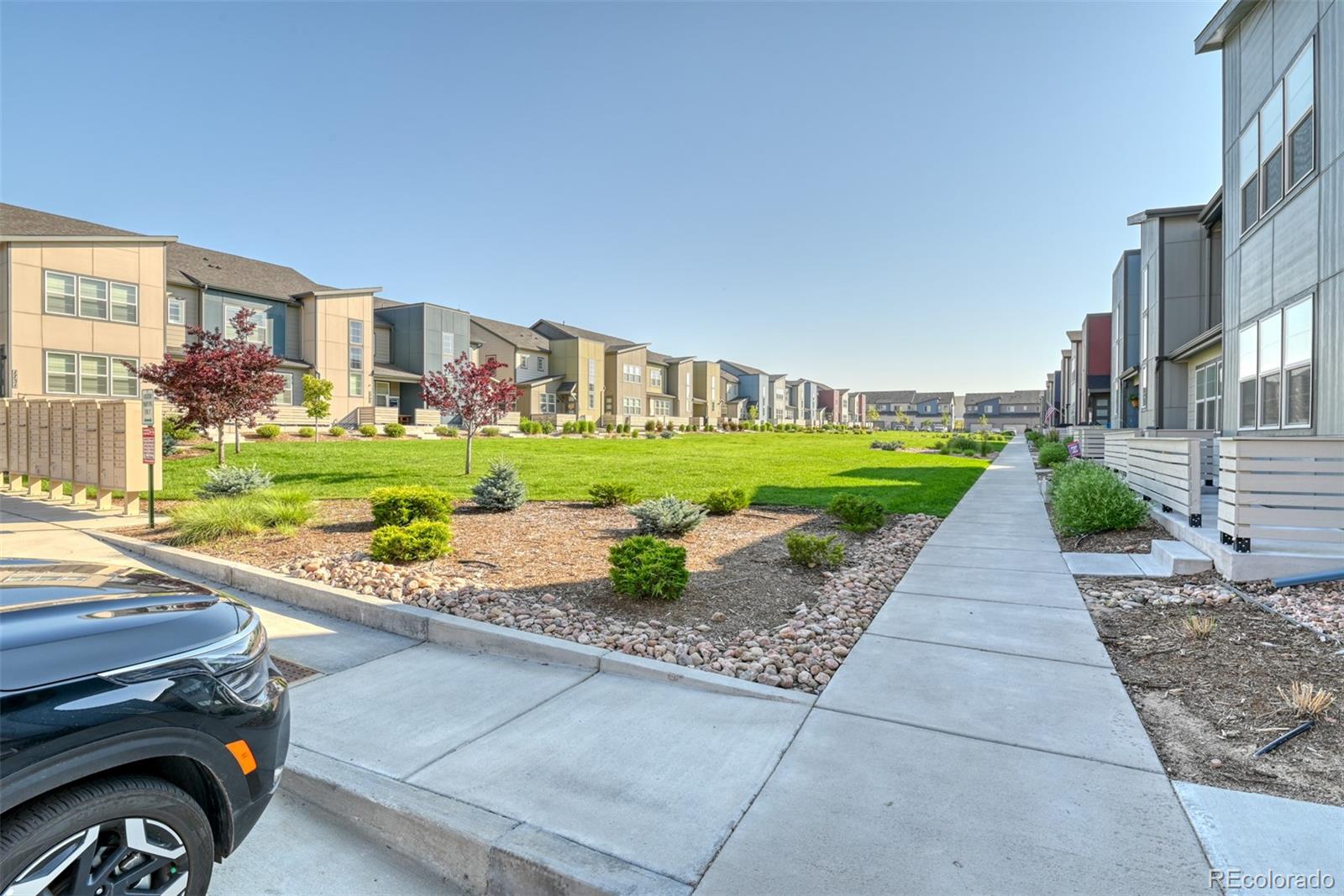 MLS Image #9 for 10719  hidden pool heights,colorado springs, Colorado