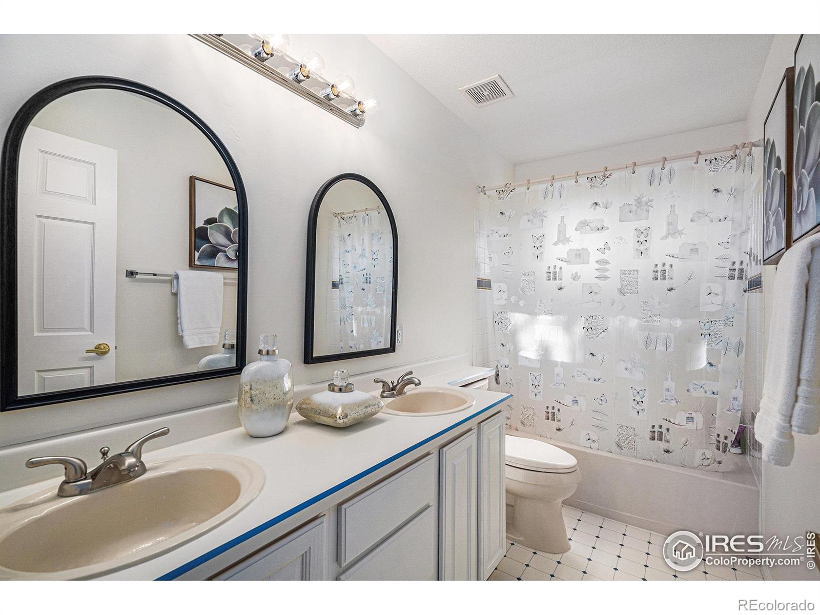 MLS Image #19 for 8825  fairview oaks place,lone tree, Colorado