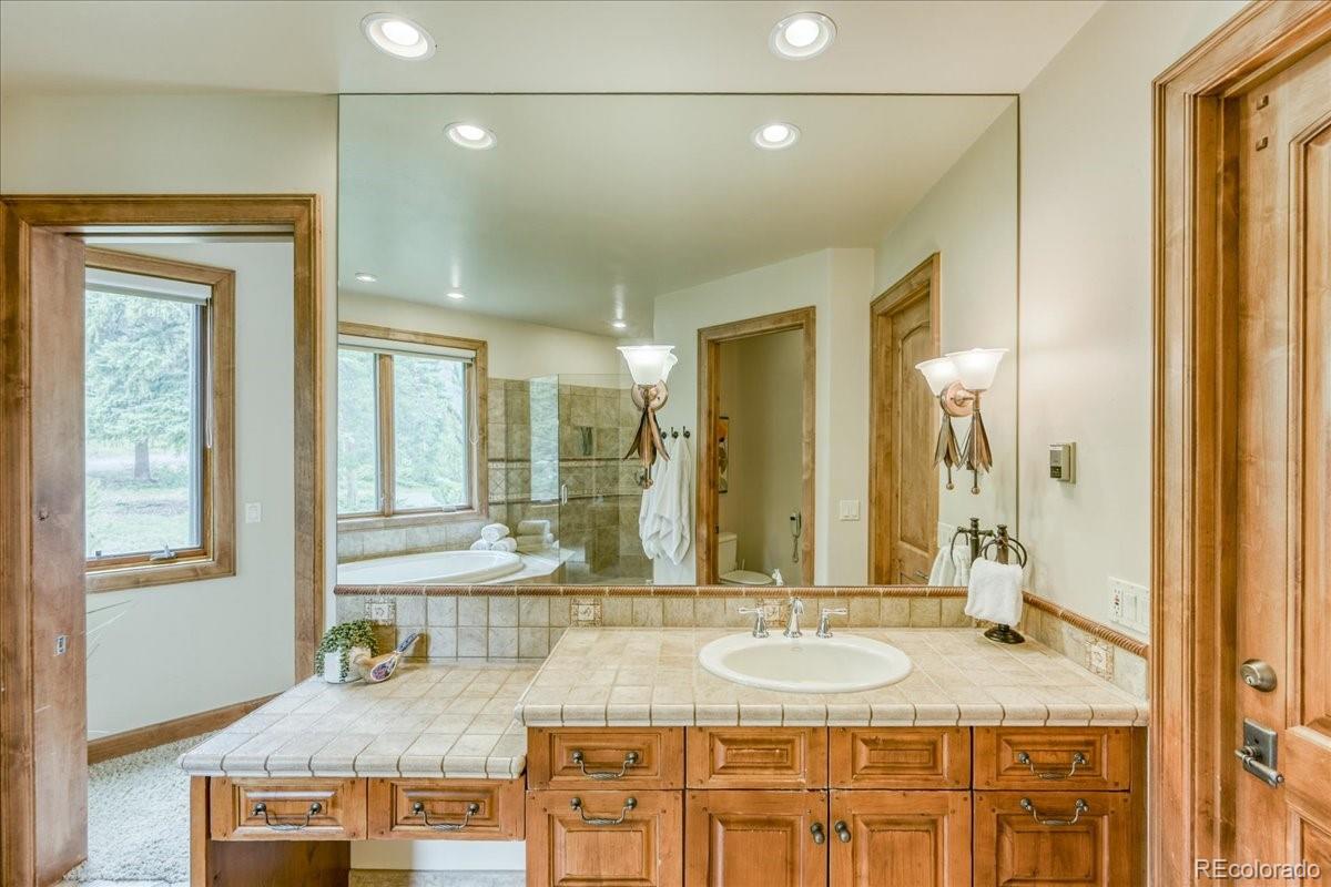 MLS Image #15 for 7  golden rod circle,keystone, Colorado