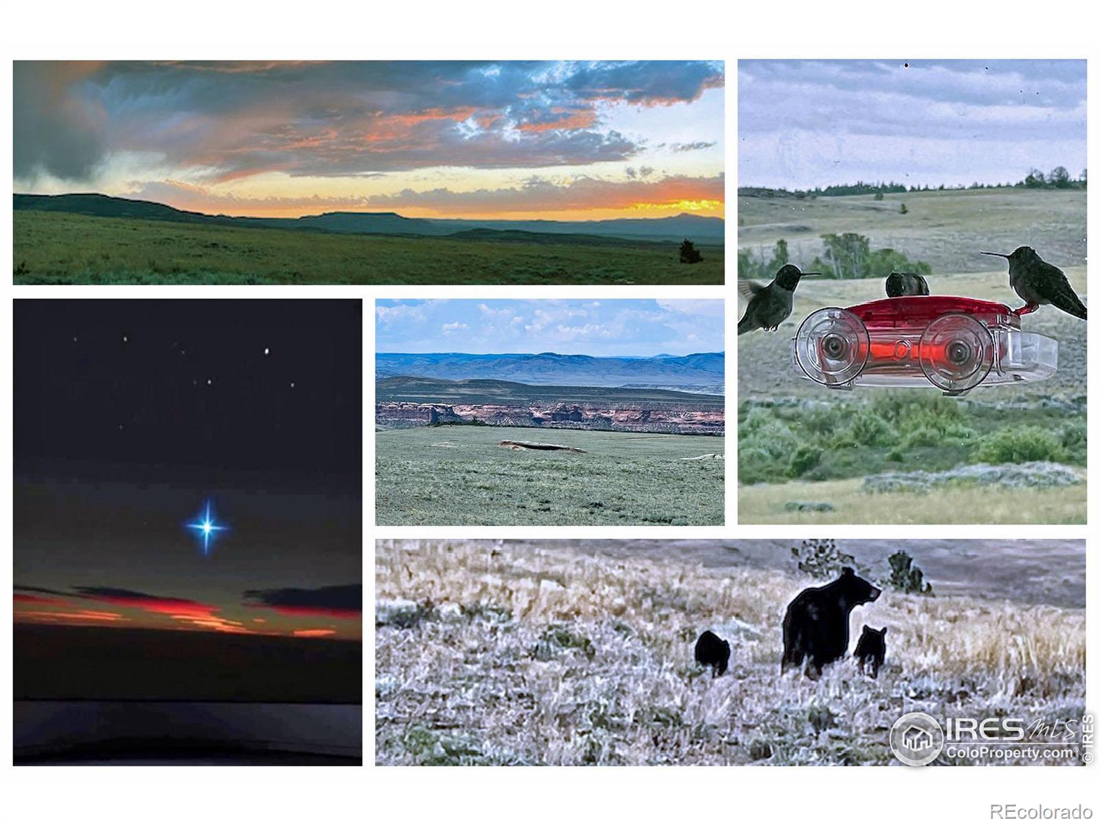 MLS Image #11 for 2780  camel rock road,red feather lakes, Colorado