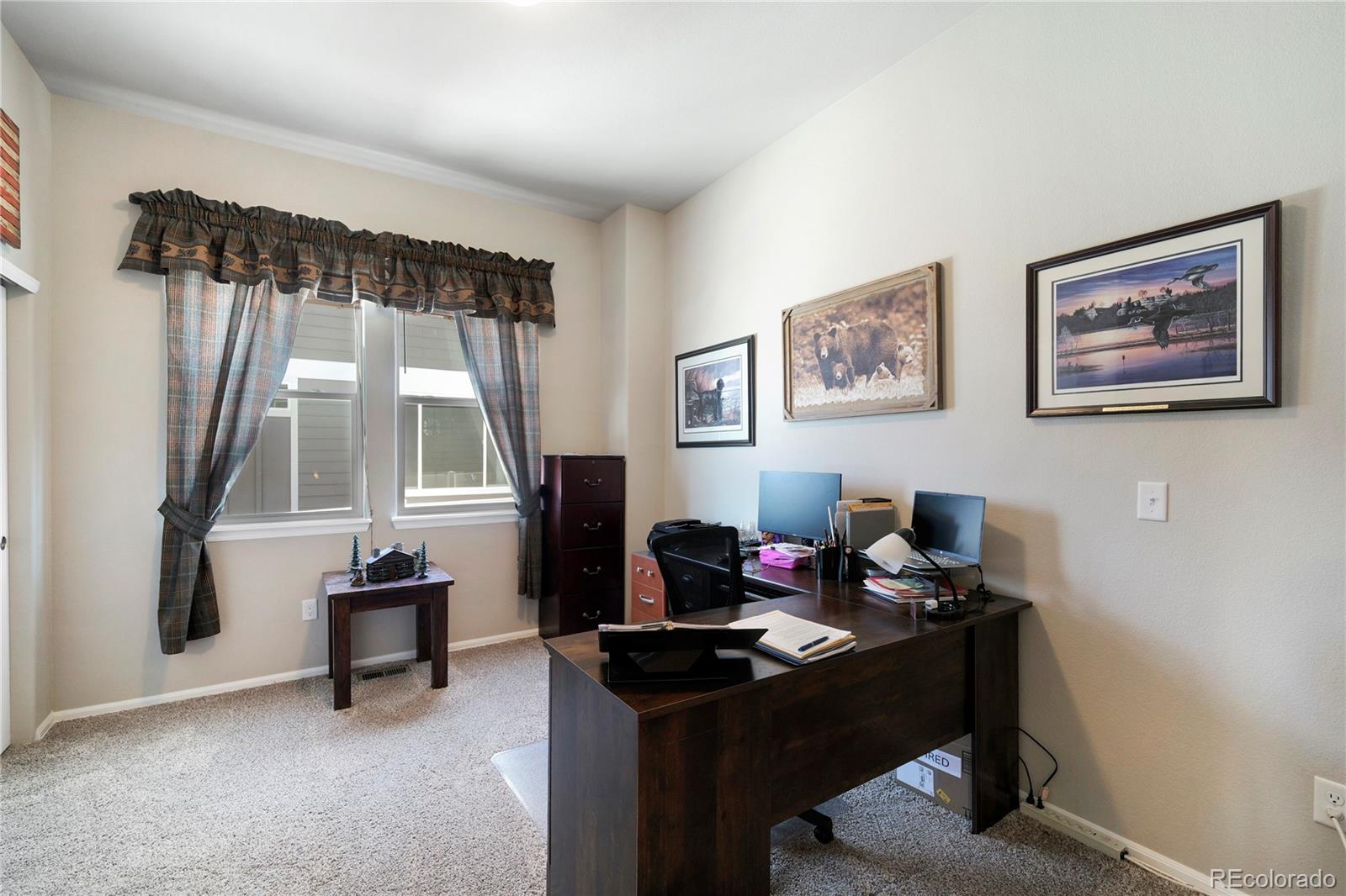 MLS Image #17 for 1210  muskox street,severance, Colorado