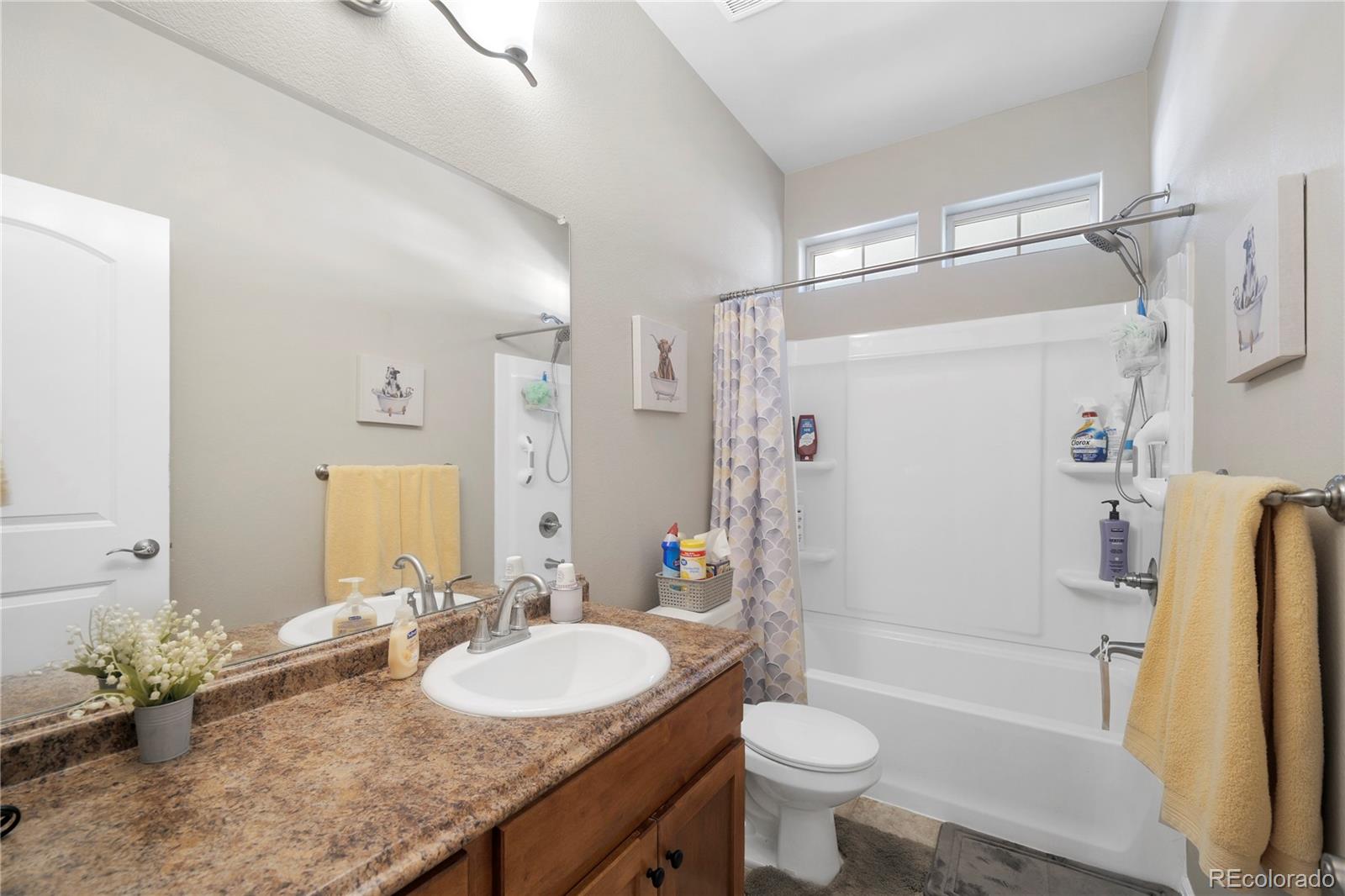 MLS Image #26 for 1210  muskox street,severance, Colorado