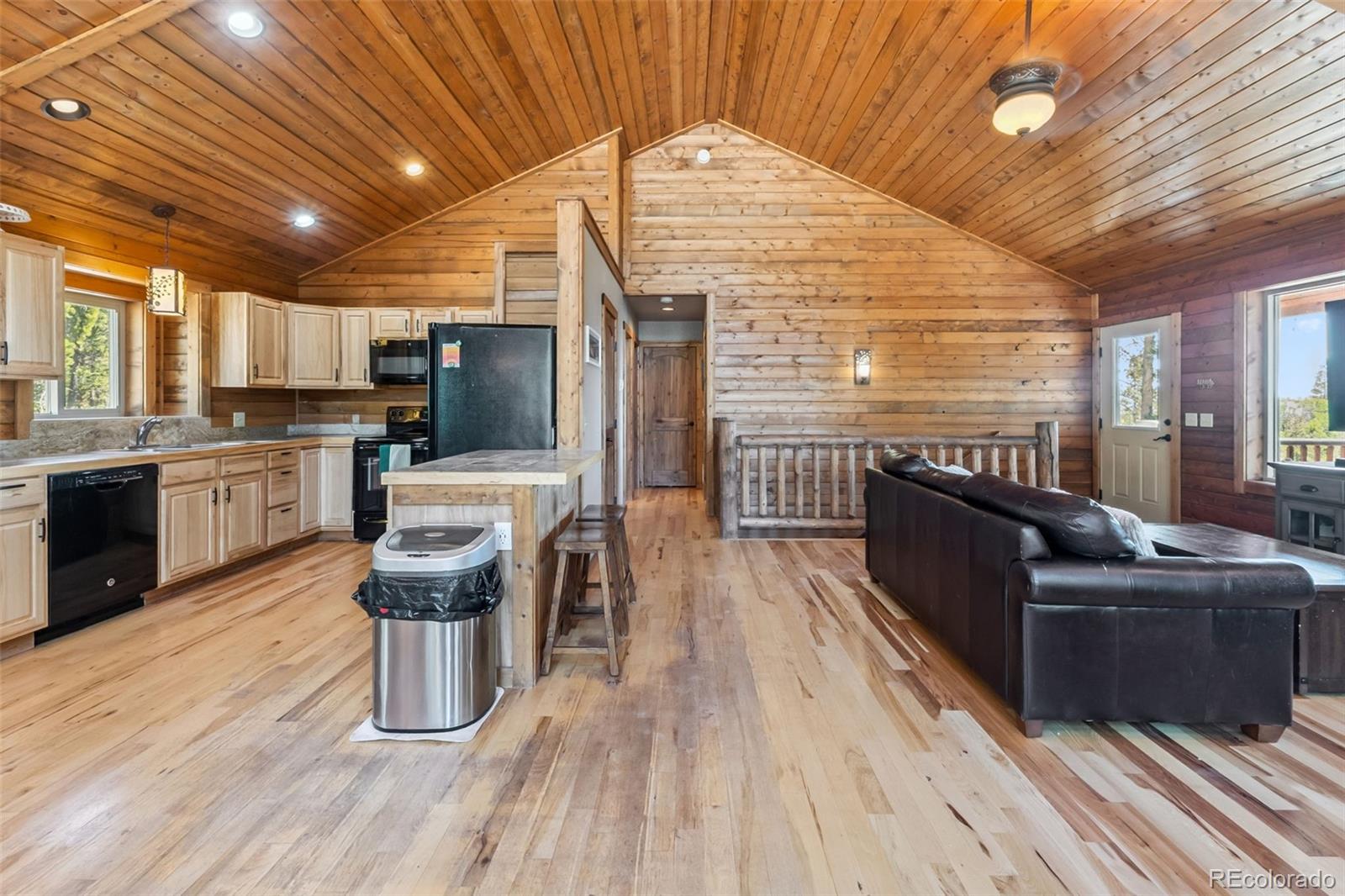 MLS Image #2 for 889  venture road,fairplay, Colorado