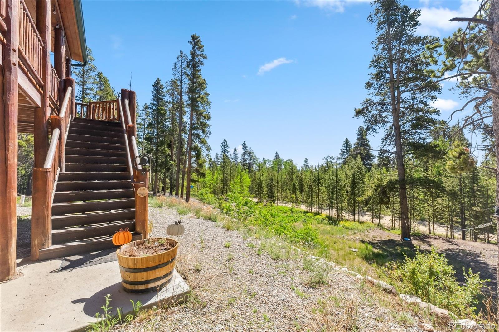 MLS Image #25 for 889  venture road,fairplay, Colorado