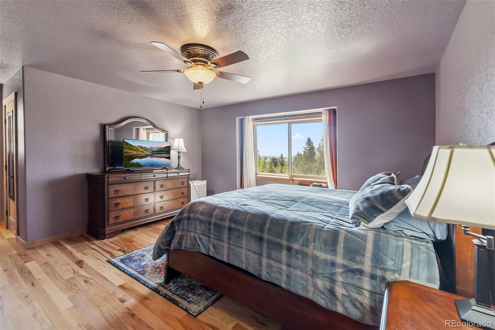 MLS Image #4 for 889  venture road,fairplay, Colorado