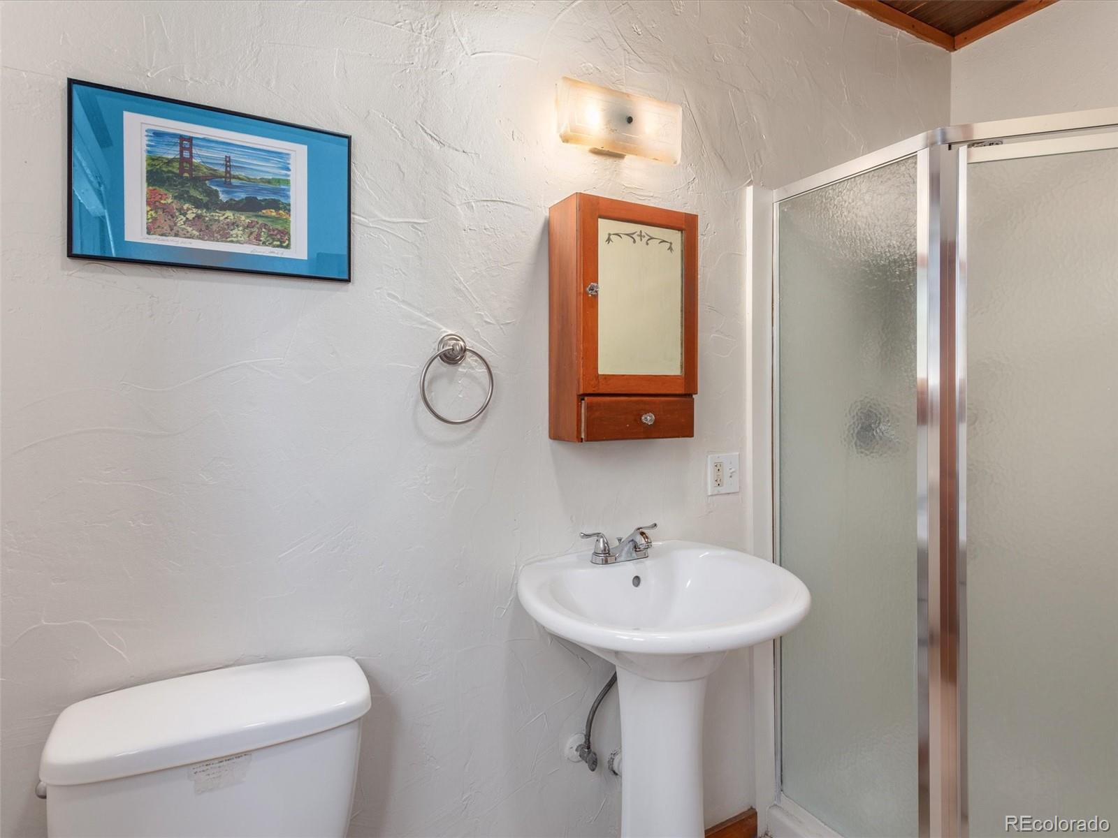 MLS Image #15 for 274 n willow street,crestone, Colorado