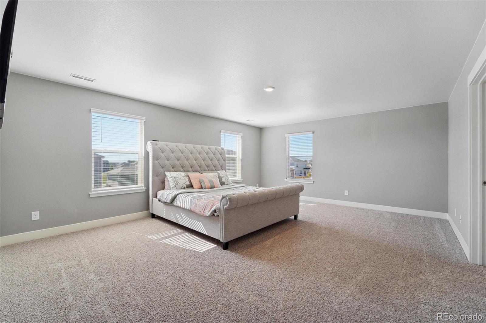 MLS Image #9 for 2128  dexter street,mead, Colorado