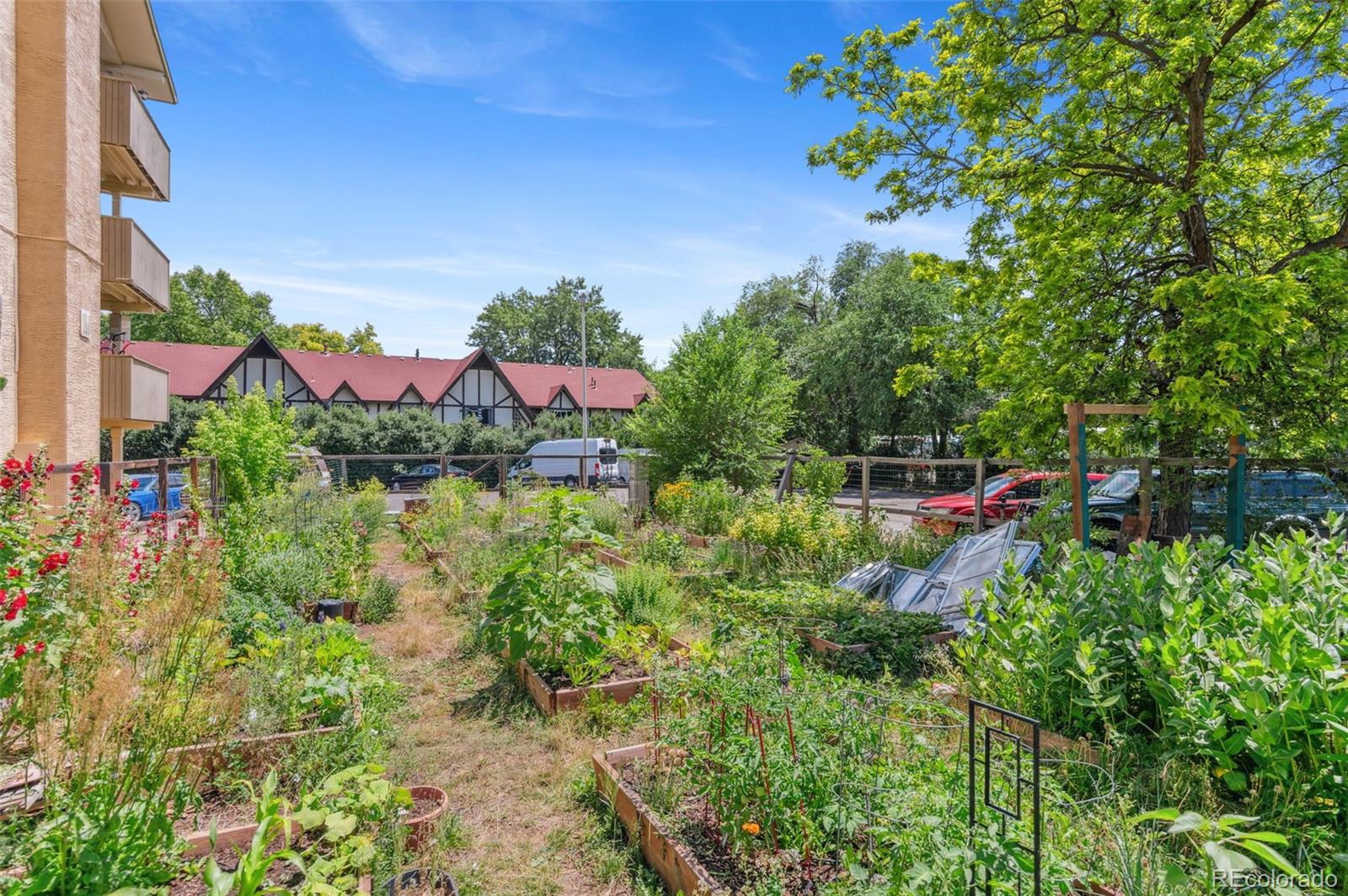 MLS Image #40 for 3035  oneal parkway,boulder, Colorado