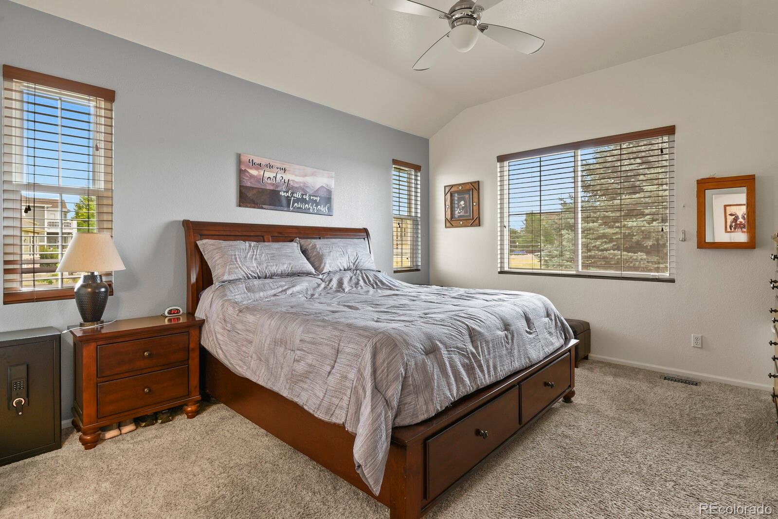 MLS Image #10 for 514 n flat rock street,aurora, Colorado