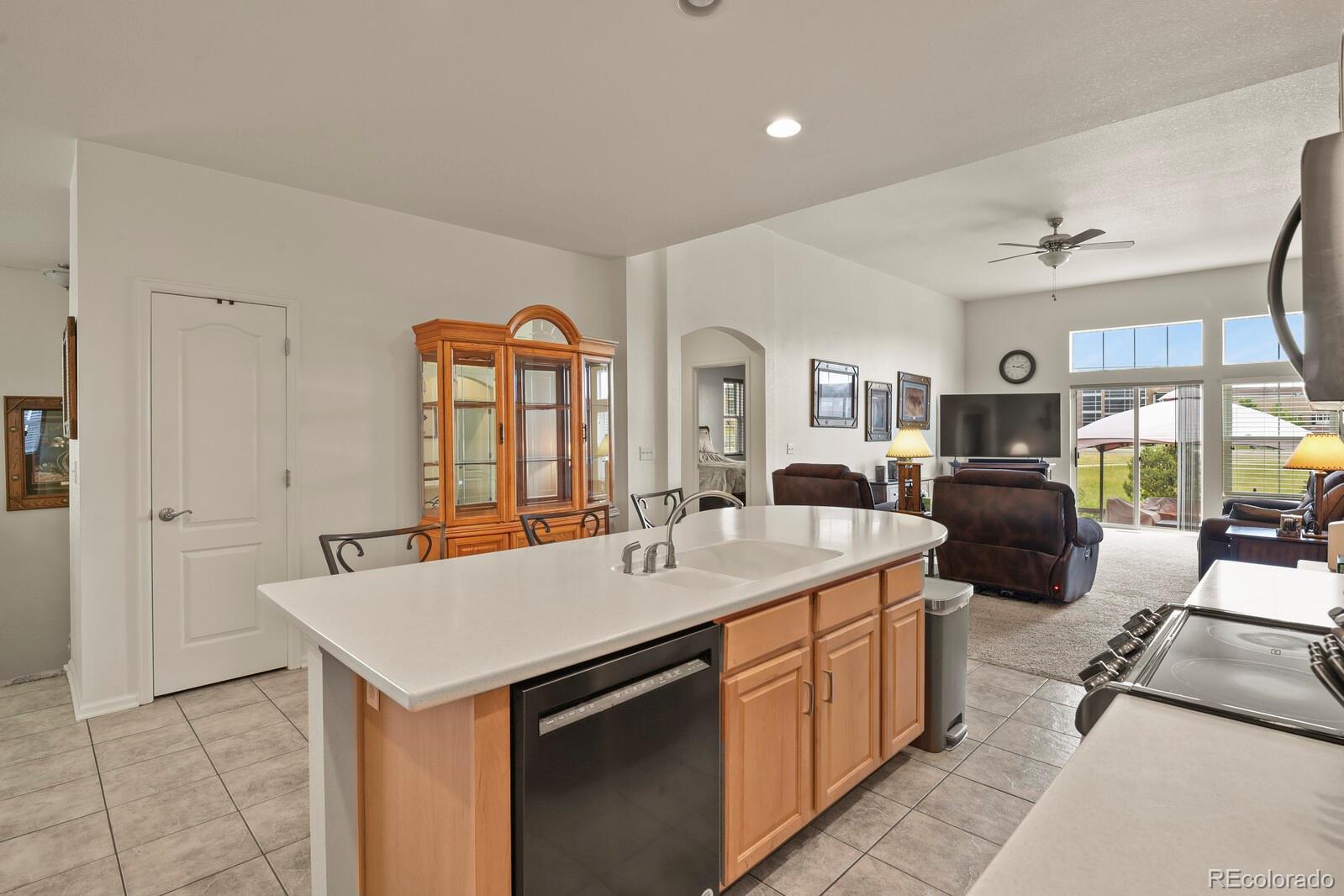 MLS Image #6 for 514 n flat rock street,aurora, Colorado