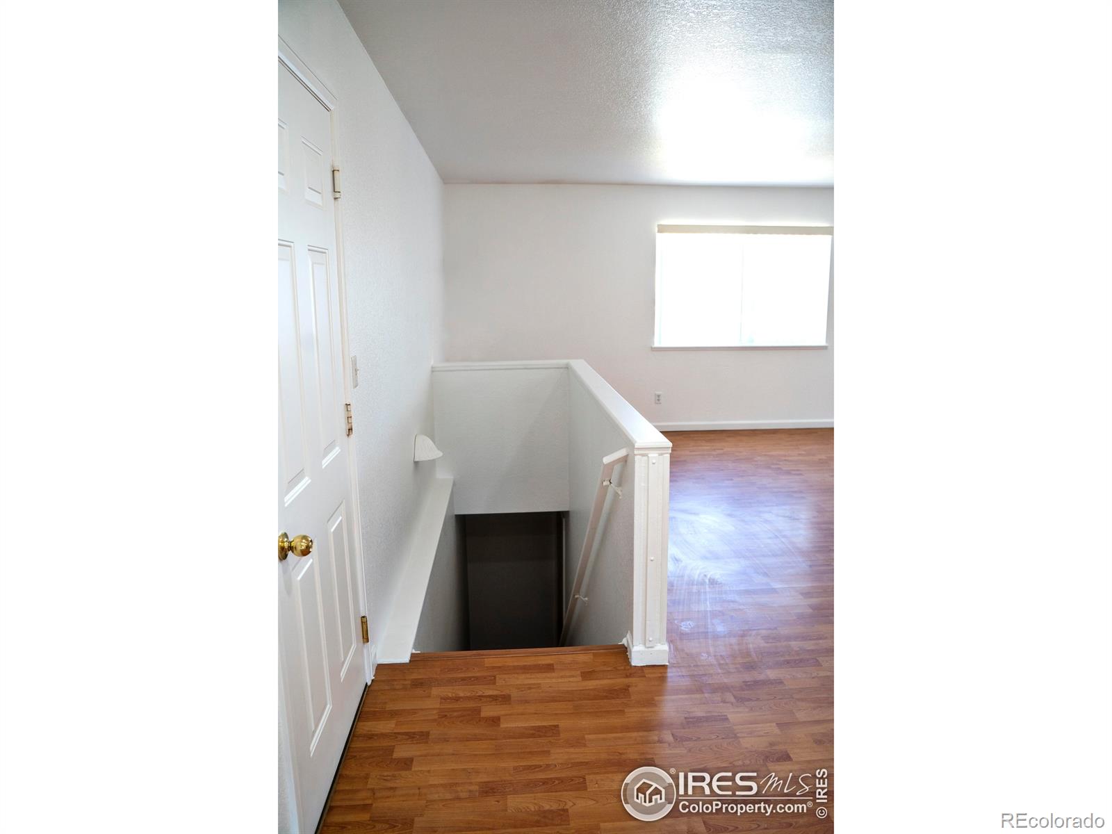 MLS Image #3 for 4616  homestead court,greeley, Colorado