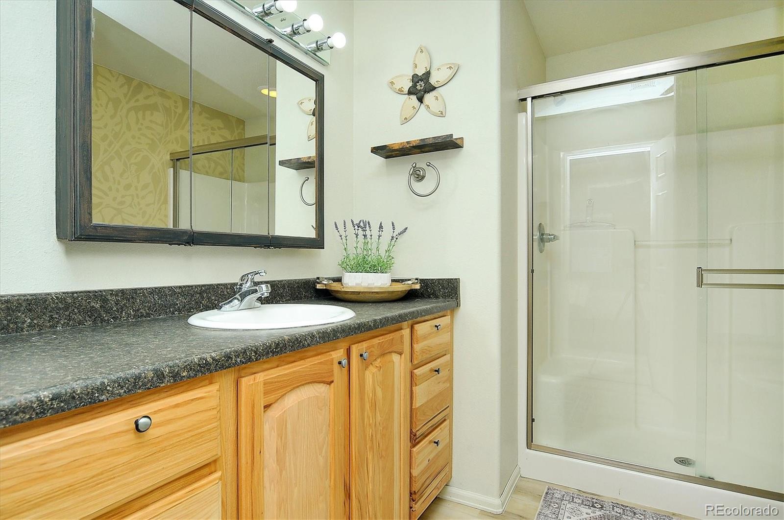 MLS Image #18 for 125  raven way,buena vista, Colorado