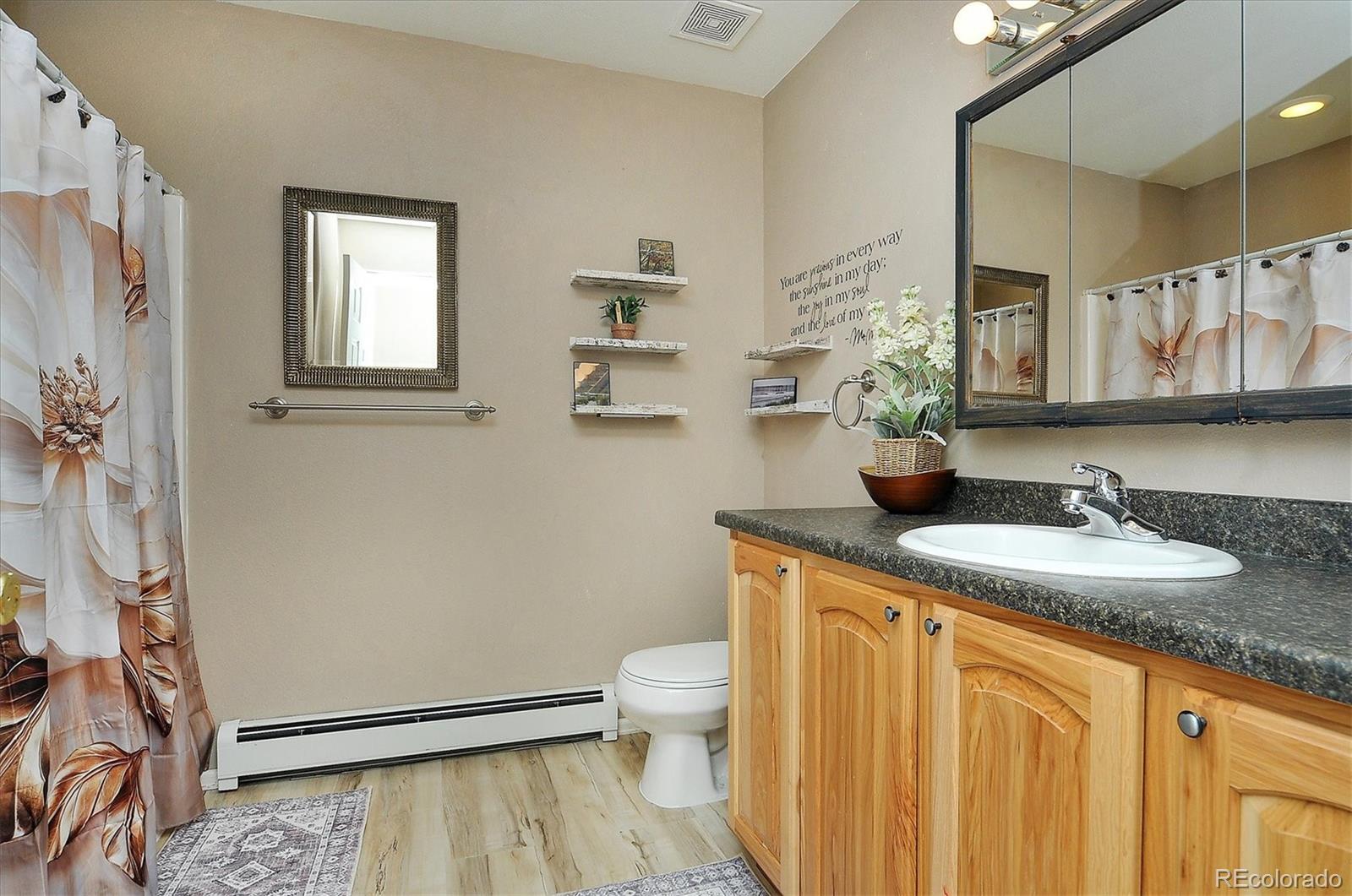 MLS Image #21 for 125  raven way,buena vista, Colorado