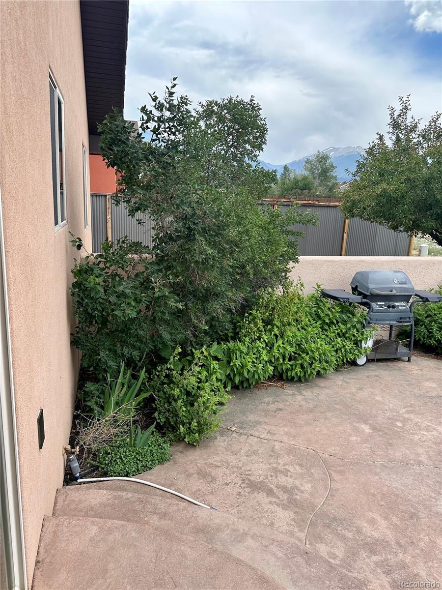MLS Image #27 for 125  raven way,buena vista, Colorado