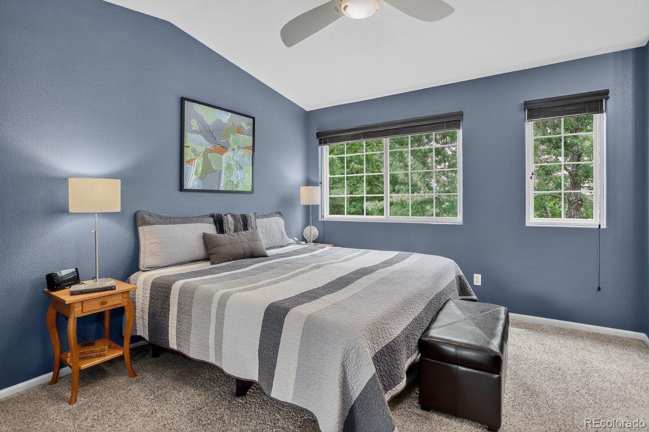 MLS Image #9 for 10700  mount antero way,parker, Colorado