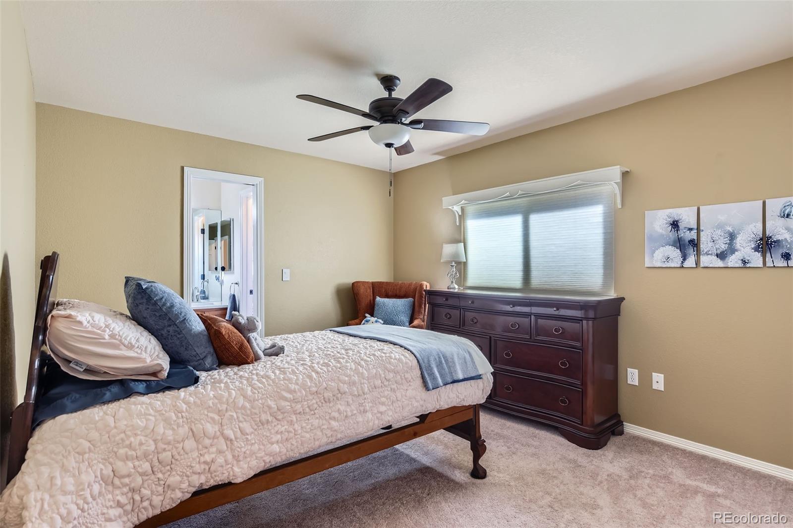 MLS Image #28 for 1130  southbury place,highlands ranch, Colorado
