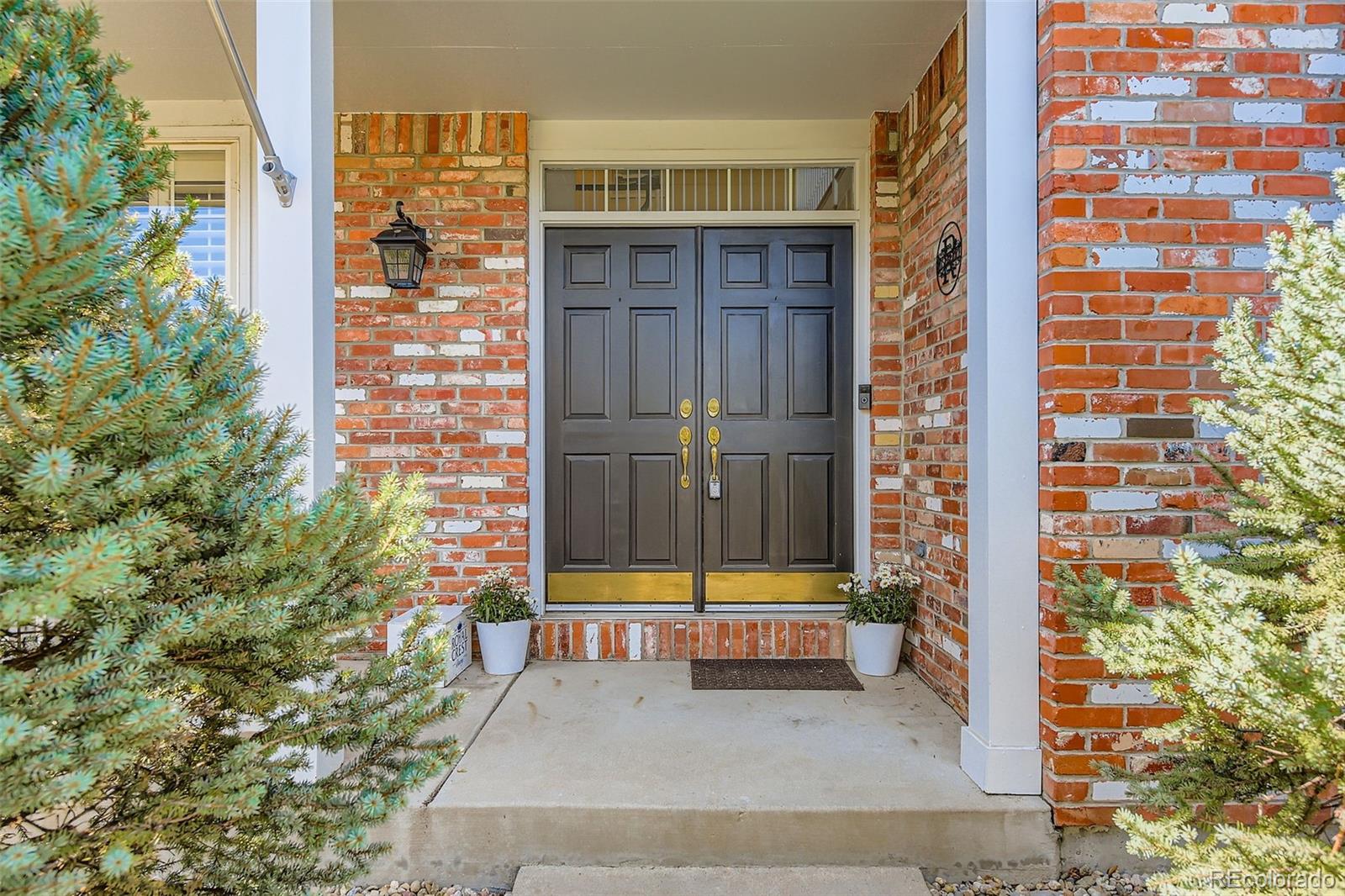 MLS Image #3 for 1130  southbury place,highlands ranch, Colorado